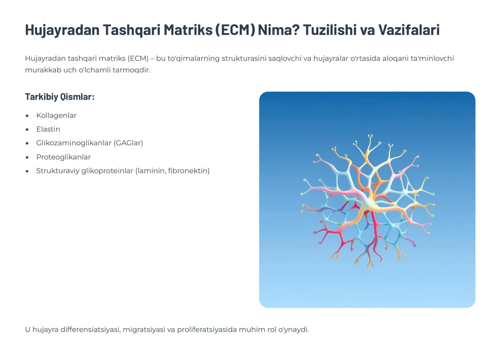 Yallig'lanishning Tizimli 3