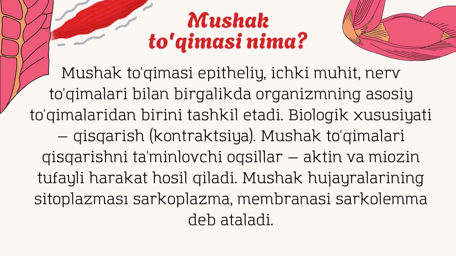 Mushk toʻqimasi 3