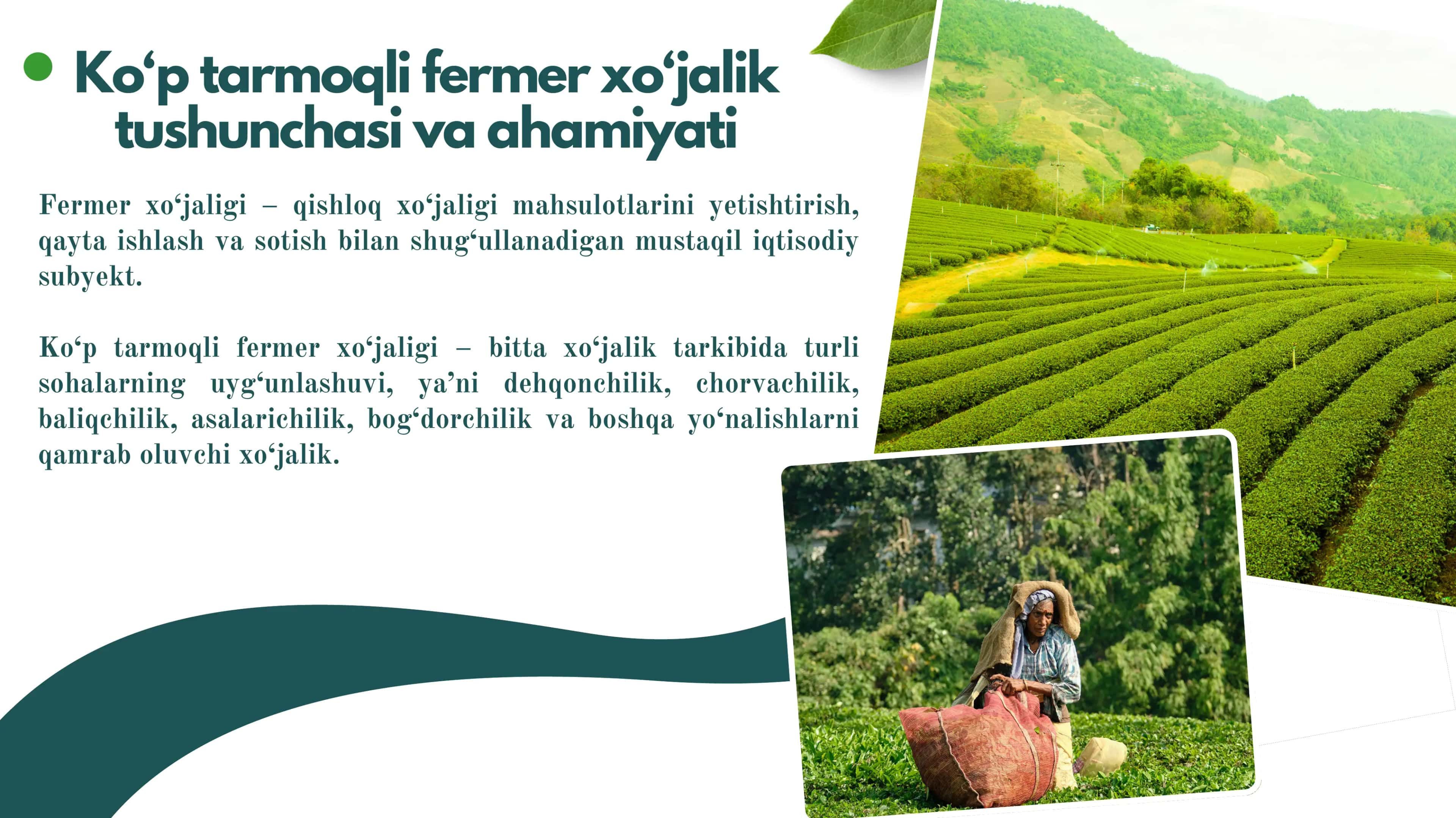Ko'p tarmoqli fermer xo'jaliklar faoliyatini tashkil etish va rivojlantirish yo'llari 3