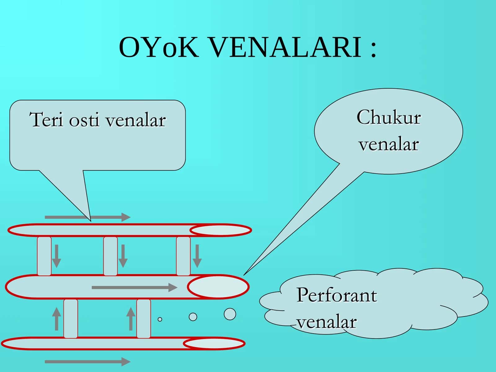 Oyoq venalarining varikoz kasalligi 3
