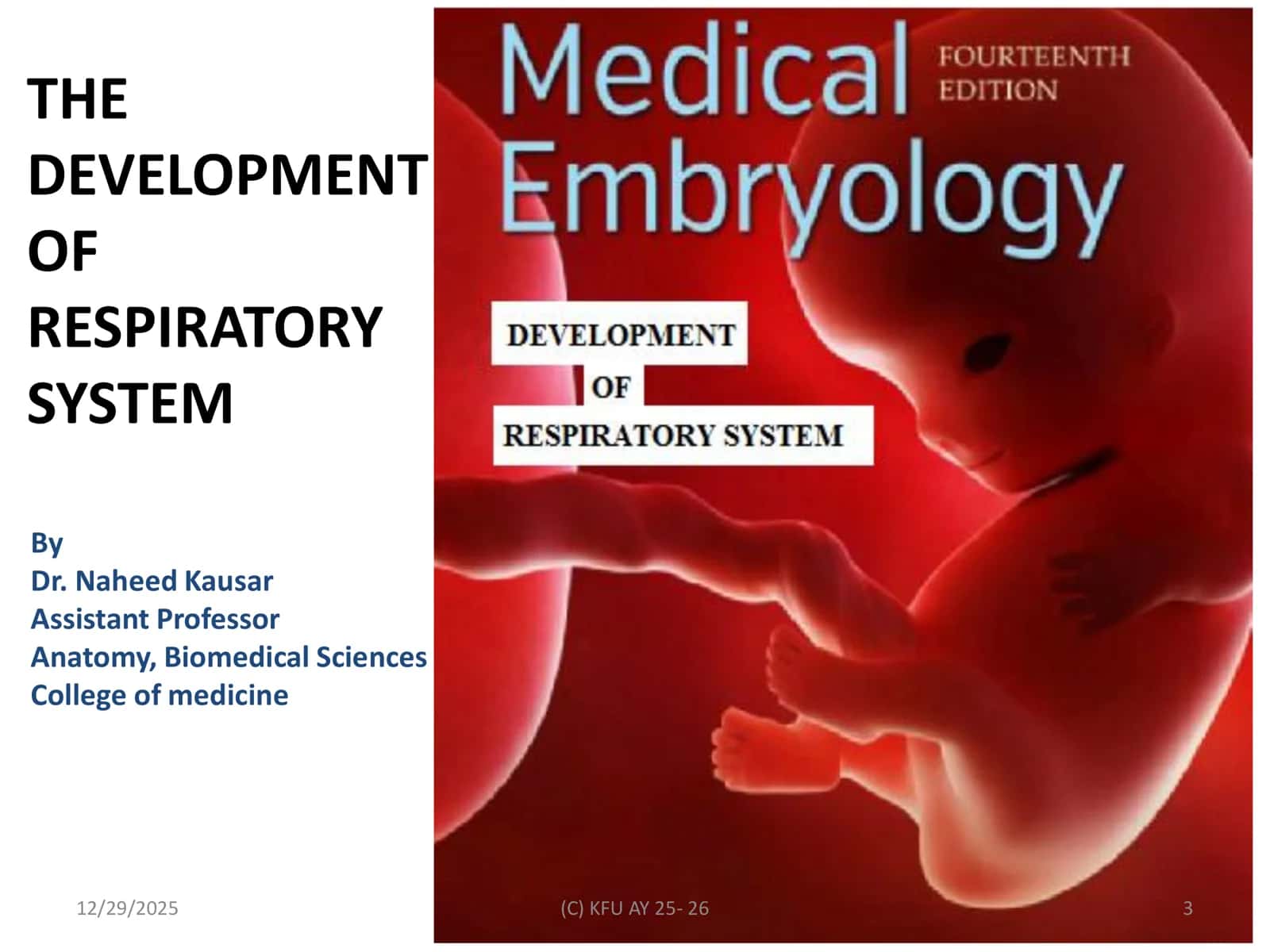 THE DEVELOPMENT OF RESPIRATORY SYSTEM 3