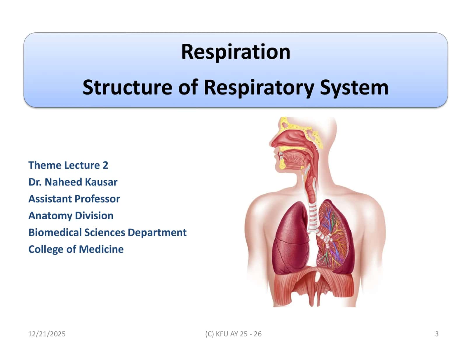 Respiration Structure of Respiratory System 3