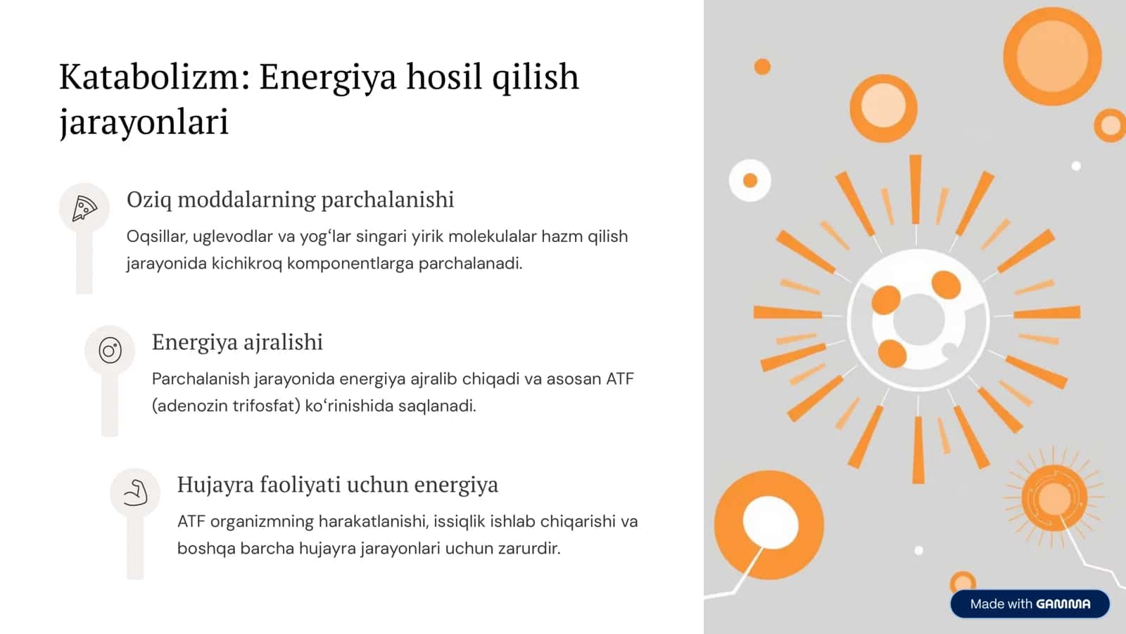 Katabolizm va Anabolizm: Normal va Patologik Holatlardagi O»zgarishlari 3
