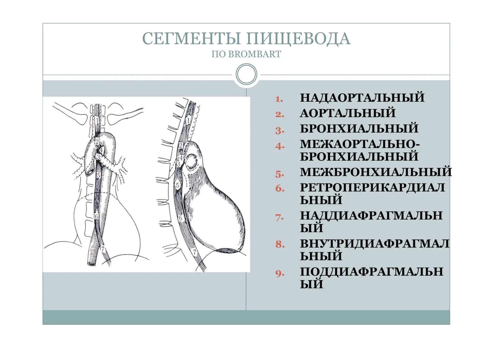Заболевания пищевода 3