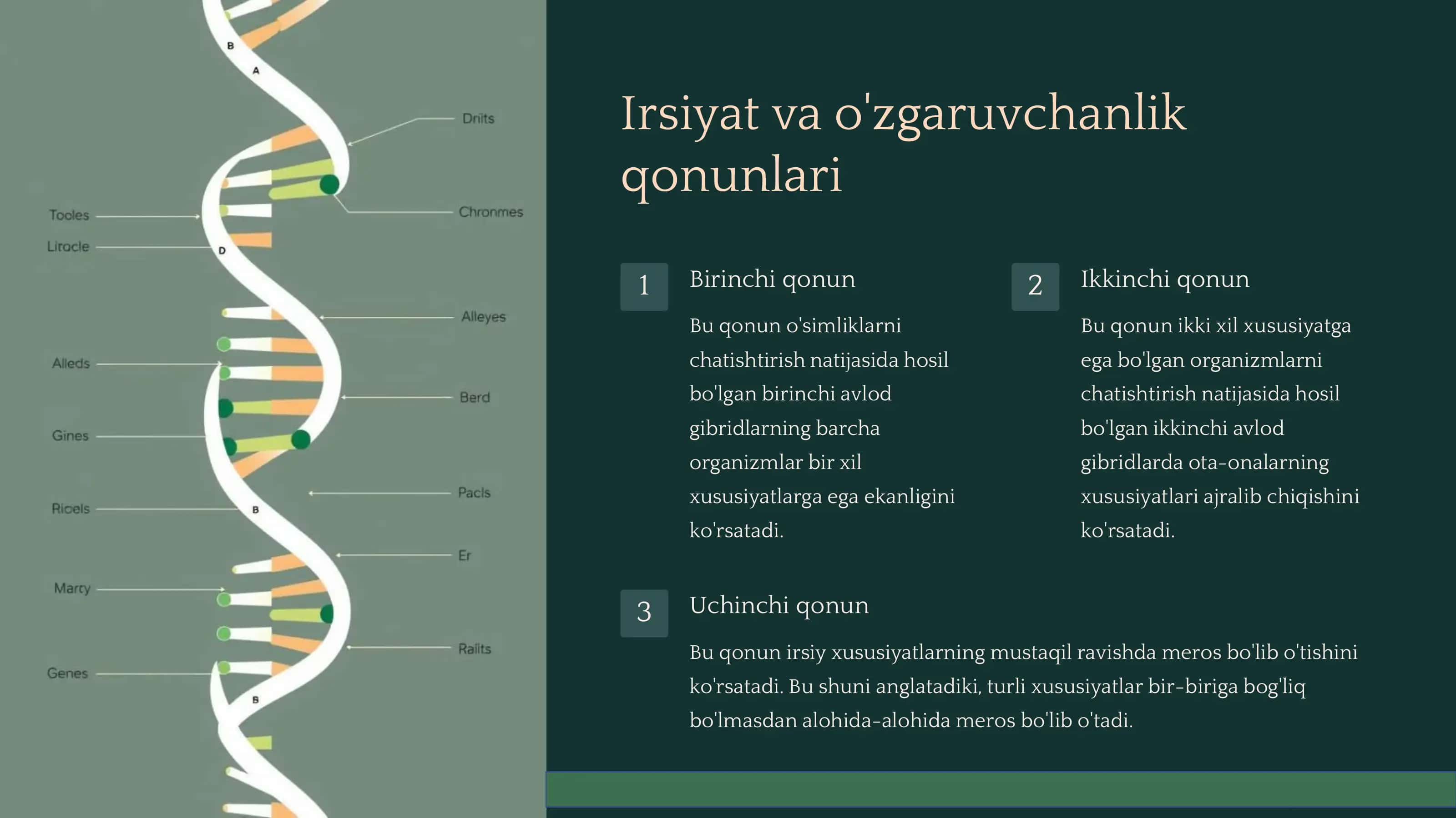 Umumiy genetika 3