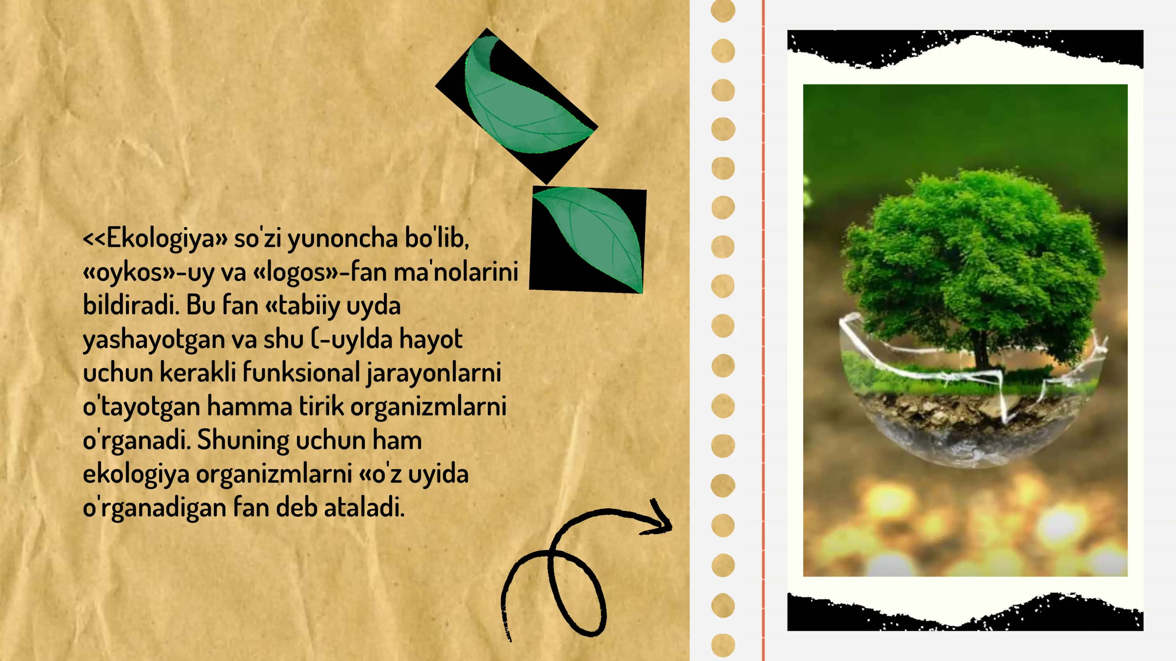 EKOLOGIYA FANINING MAQSAD VA VAZIFALARI RIVOJLANISH TARIXI 3