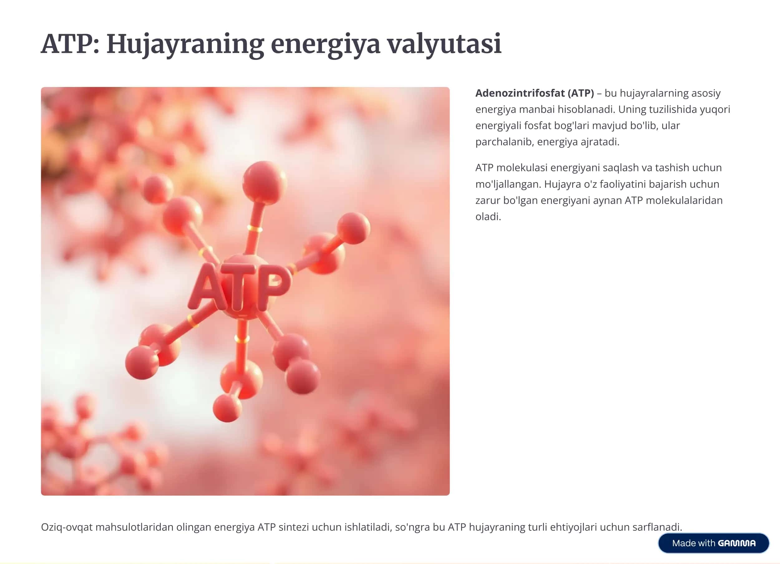 Adenozintrifosfat (ATP) 3