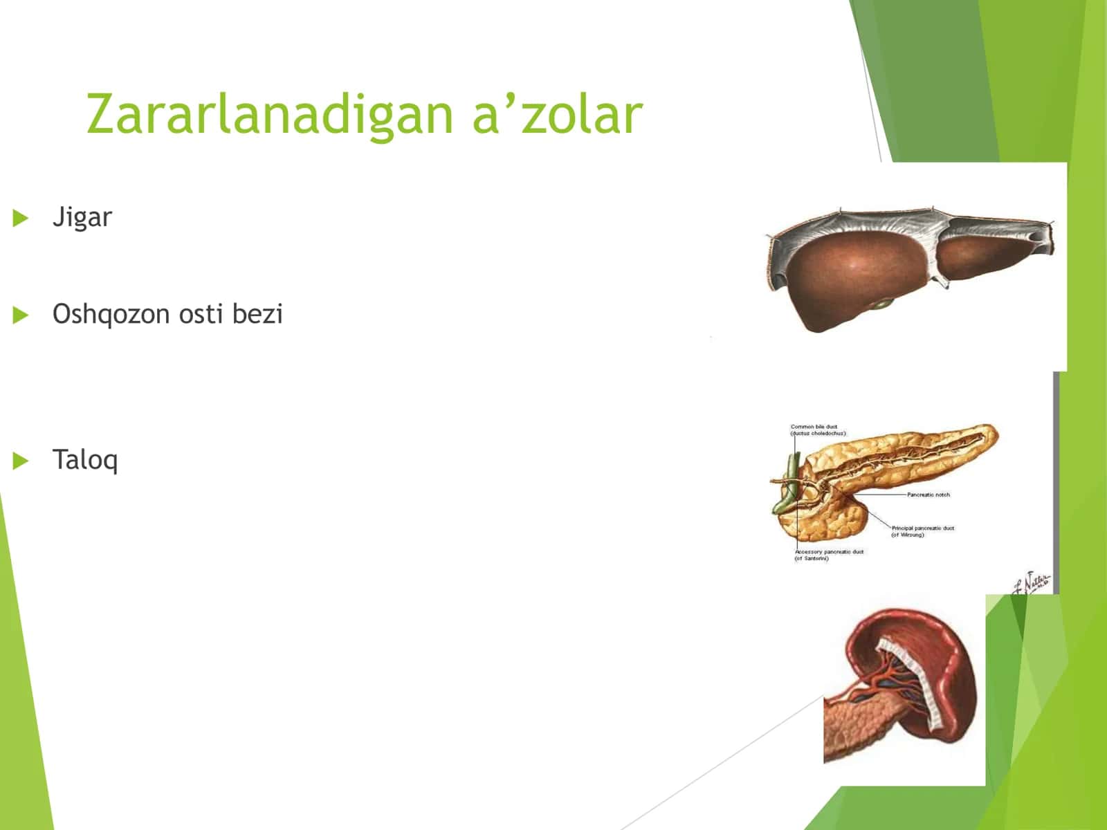 Qorin parda orti a'zolari jarohatlari 3