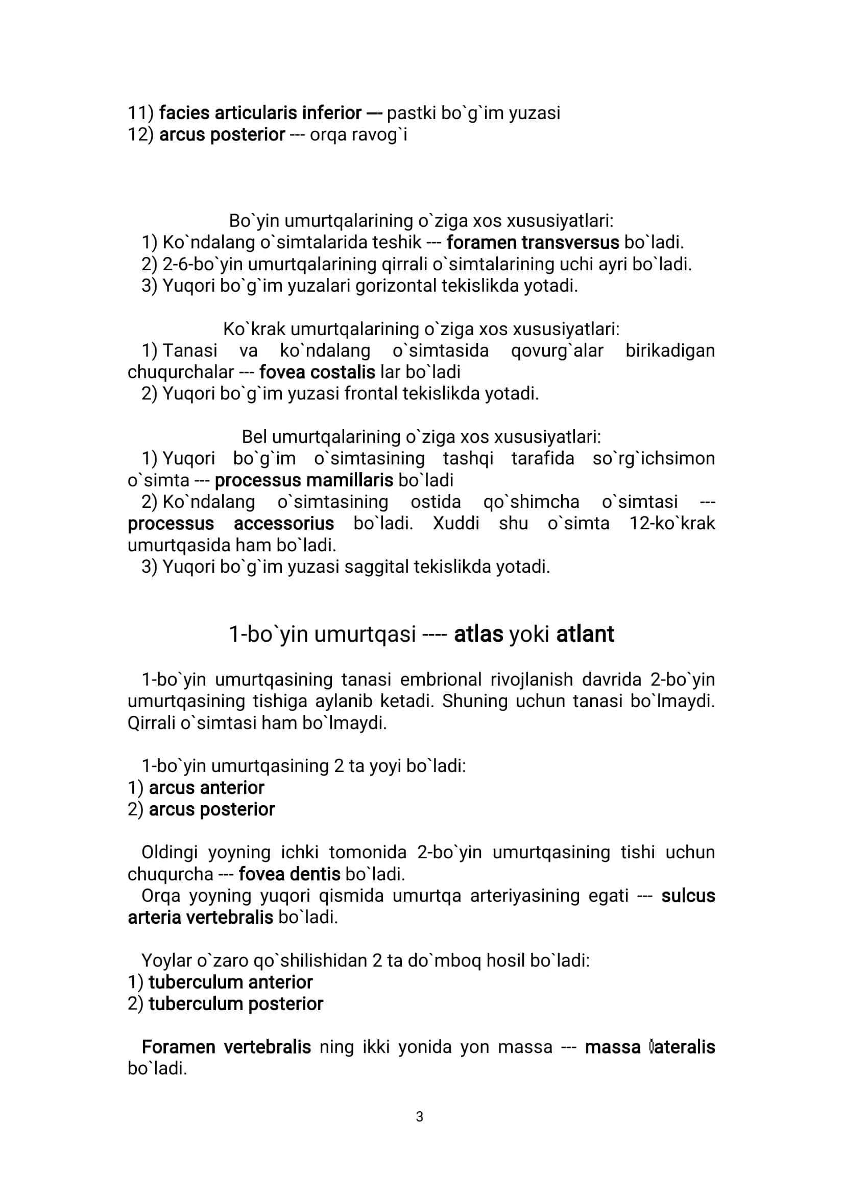 Osteologia 3
