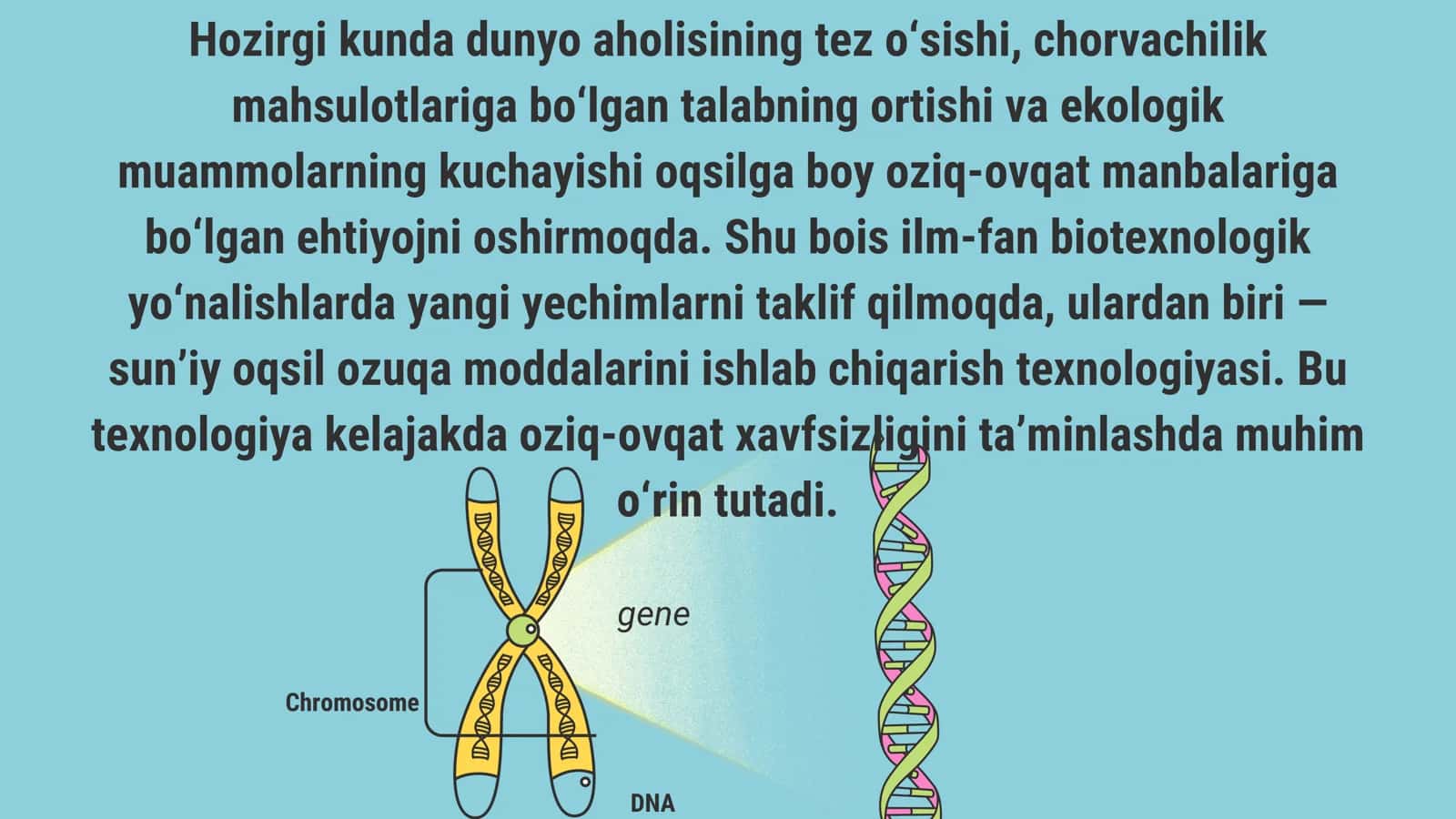 SUN'IY OQSIL OZUQA MODDALARINING ISHLAB CHIQARILISHI VA KELGUSIDAGI IMKONIYATLARI 3