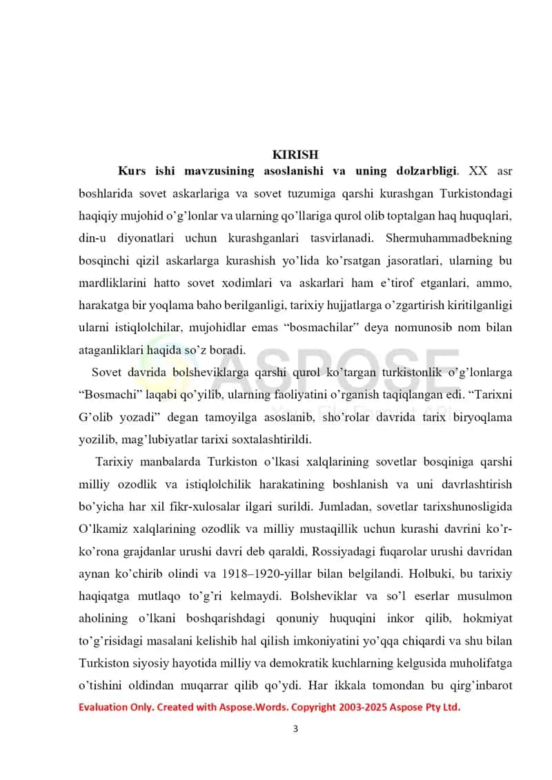 Turkiston mintaqasidagi istiqlolchilik harakatining yo'lboshchilari faoliyati (qo'rboshi Shermuhammadbek hayoti va faoliyati misolida) 3