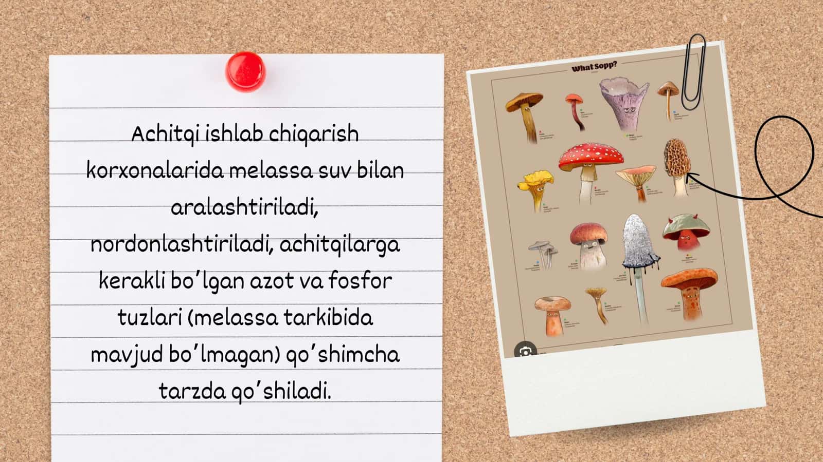 PRESSLANGAN NOVVOYLIK ACHITQILARI . PRESSLANGAN ACHITQILARNI ISHLAB CHIQARISH ,ULARNI SIFATIGA QOʻYILADIGAN TALABLAR 3