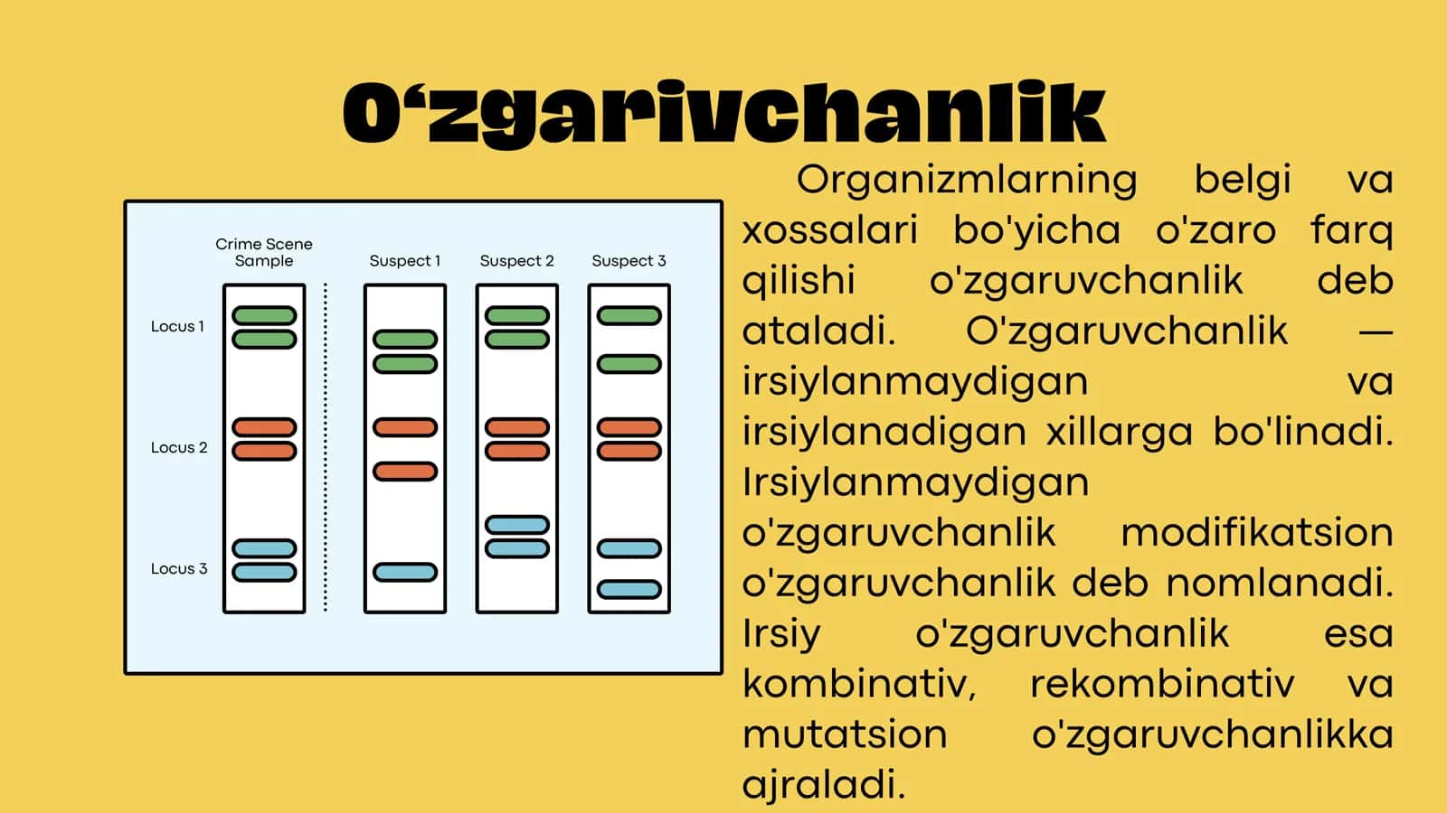 Gen yoki nuqtali mutatsiya 3