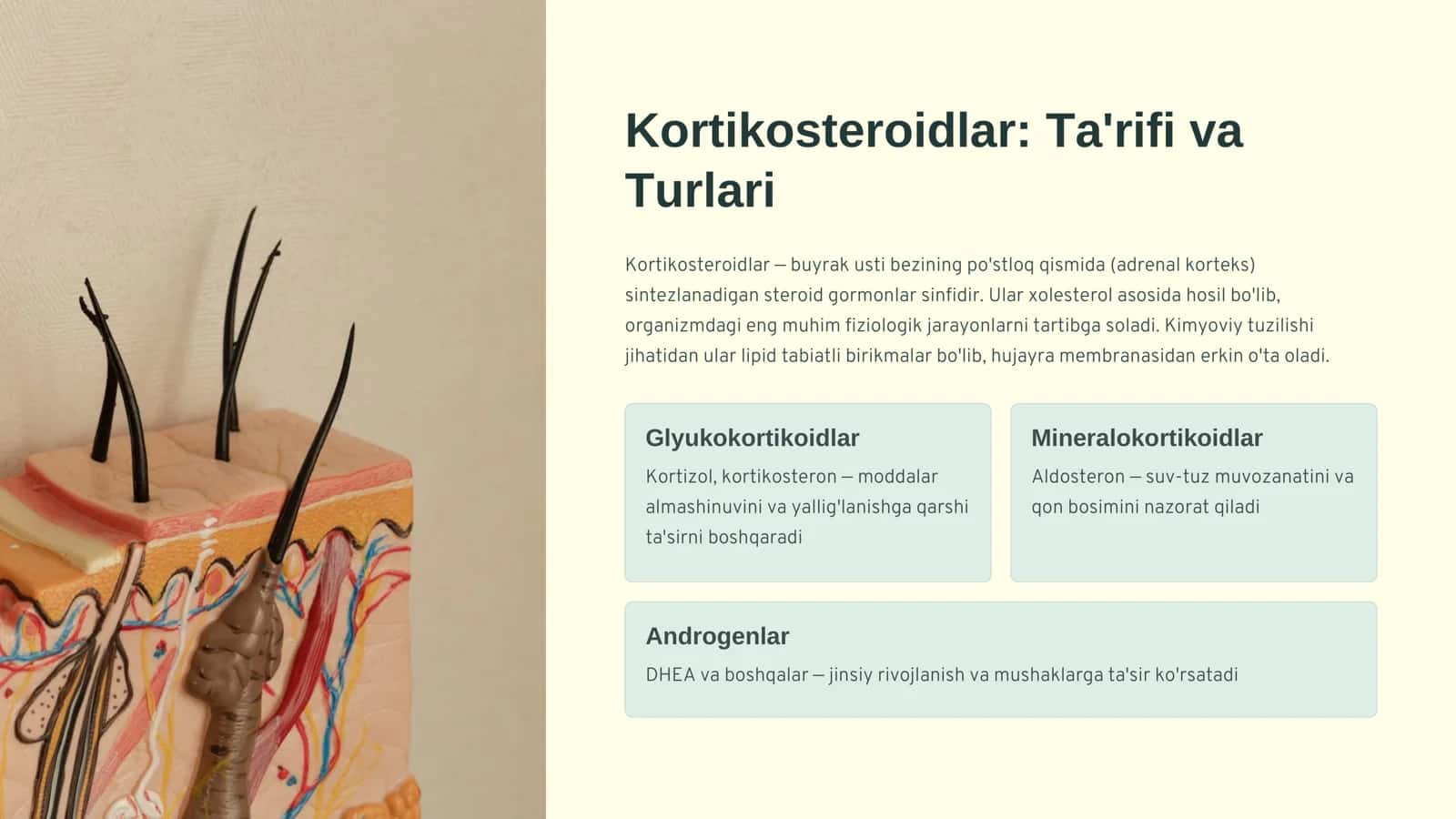 Kortikosteroidlar – Buyrak Usti Bezi Gormonlari va Ularning Tibbiy Ahmiyati 3