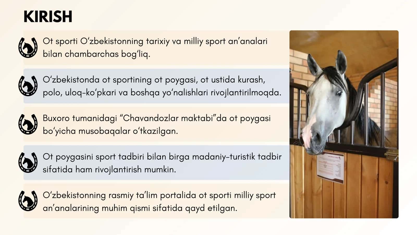 Buxoroda ot poygasini tashkil etish 3