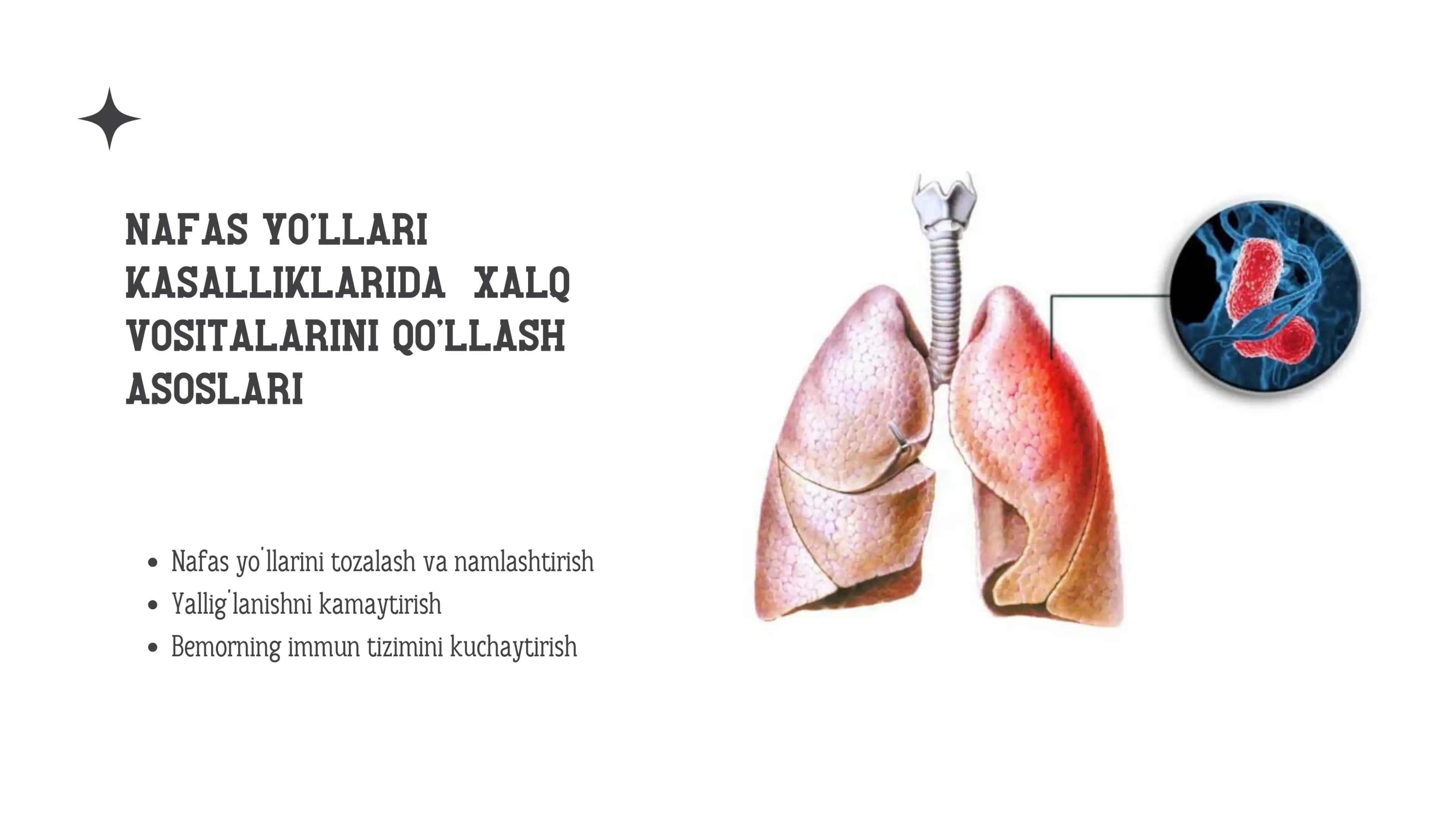 NAFAS YO’LLARI KASALLIKLARIDA XALQ VOSITALARINI QO’LLASH ASOSLARI 3