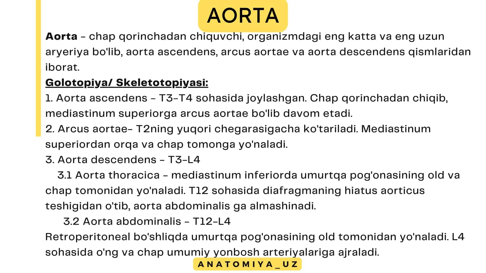 AORTA. TASHQI UYQU ARTERIYASI 3