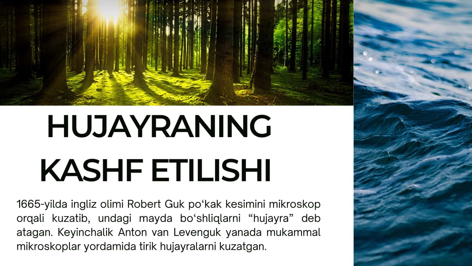 hujeyra 3