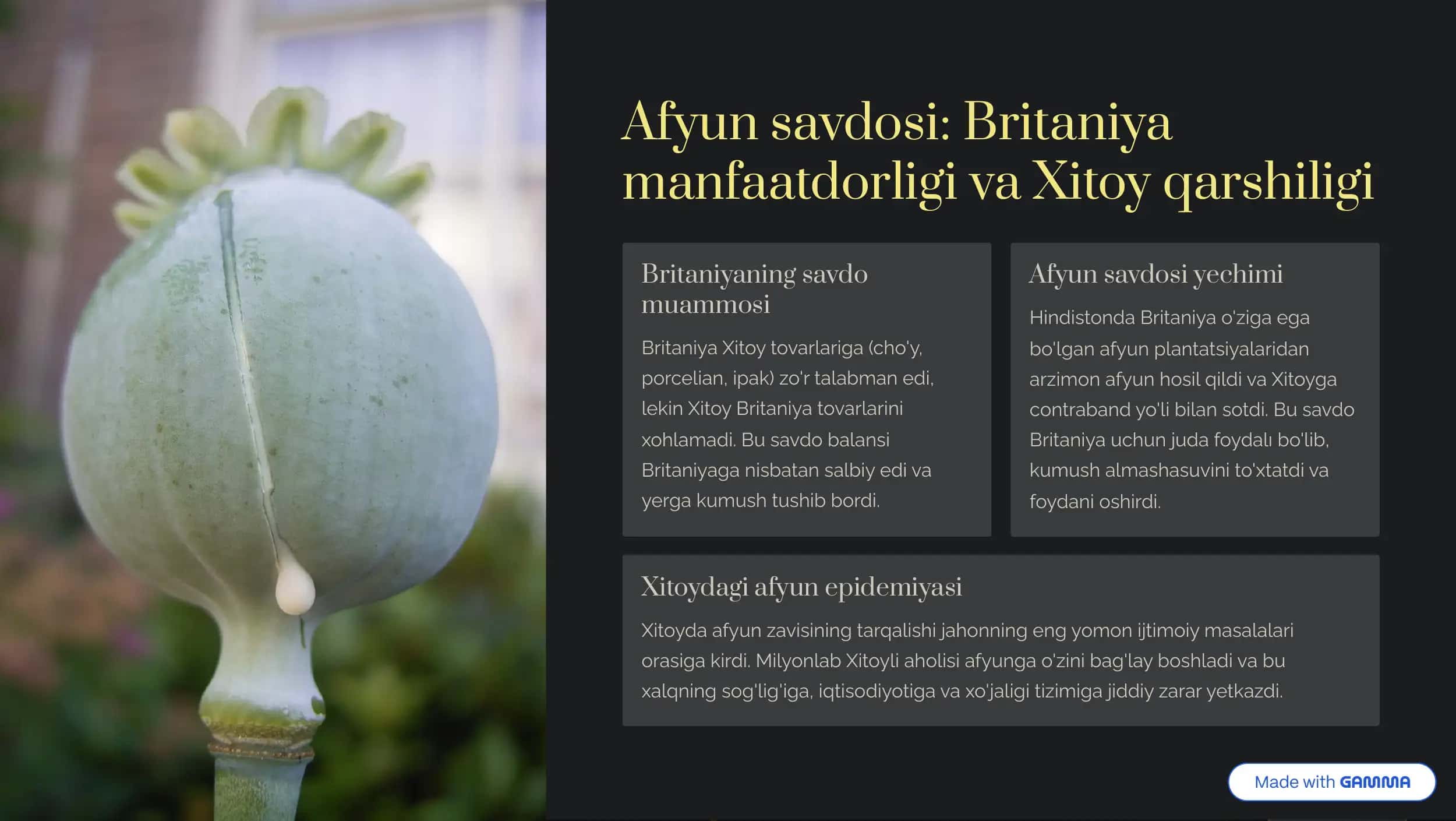Xitoyda Afyun urushlari 3