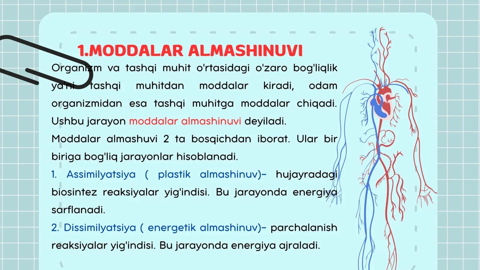 ANATOMIYA 3- DARS 3