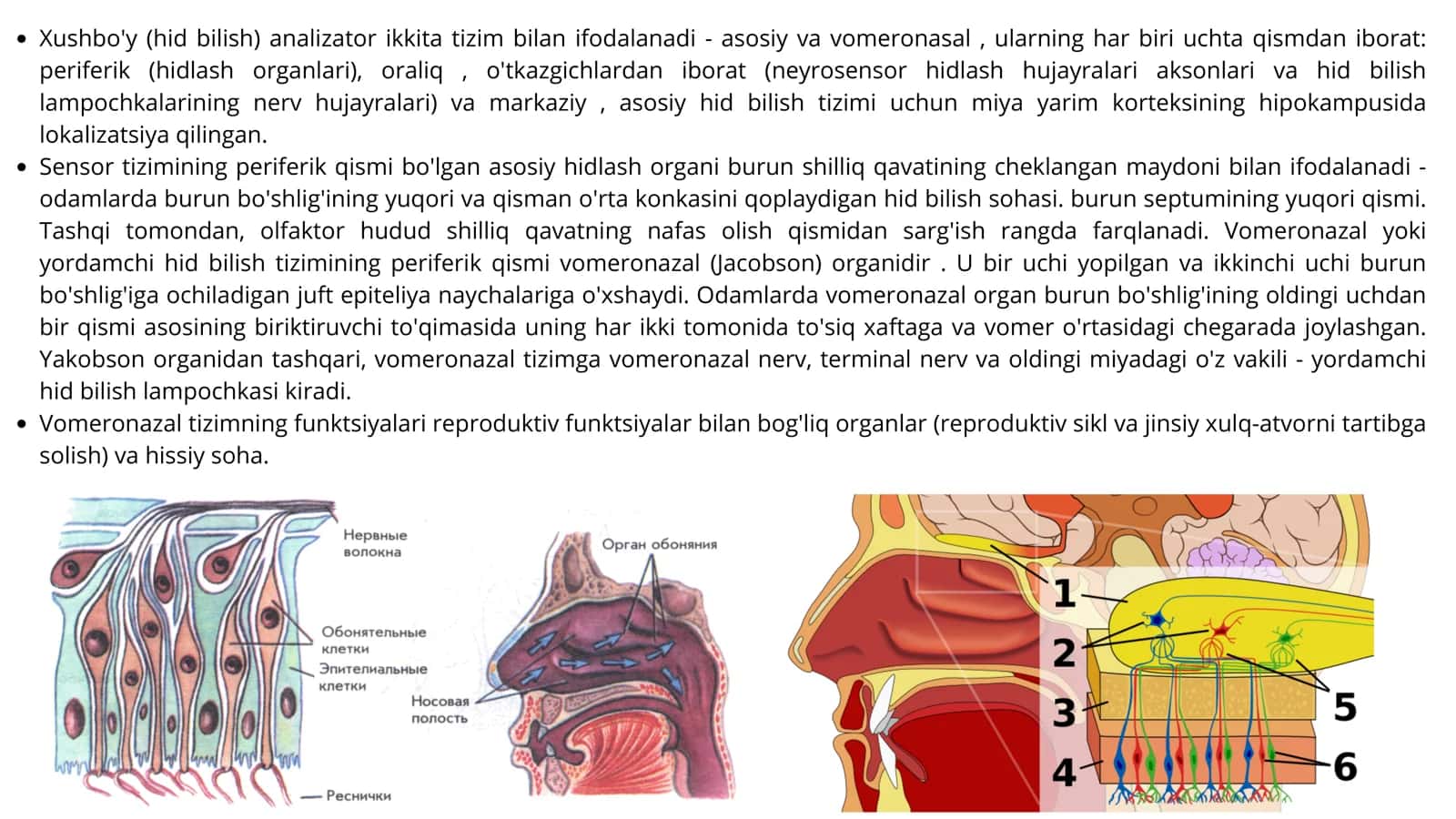 HID BILISH AʼZOSI 3