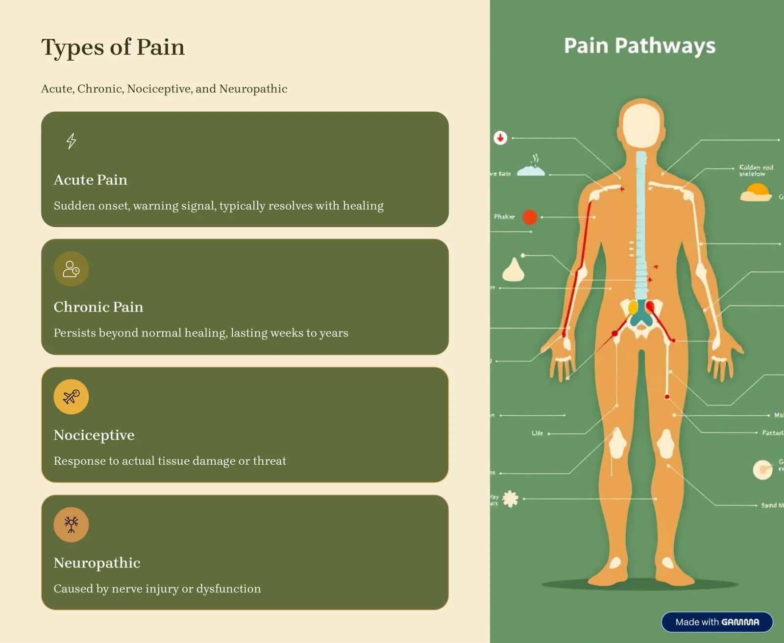 Understanding Pain 3