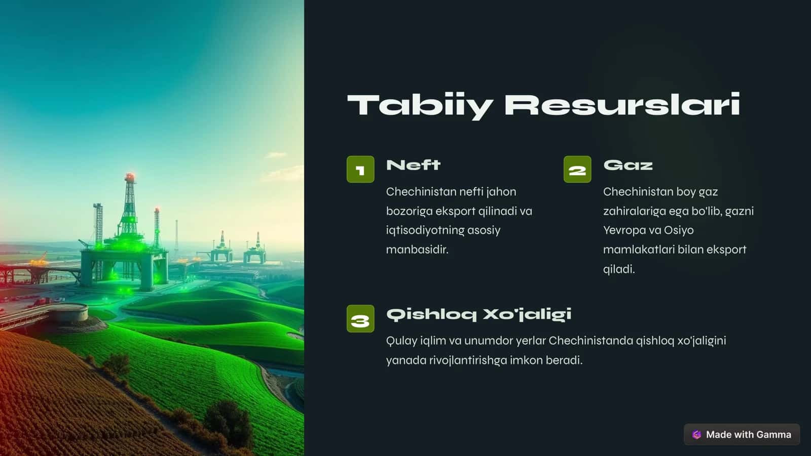 Chechinistan Iqtisodiyoti 3