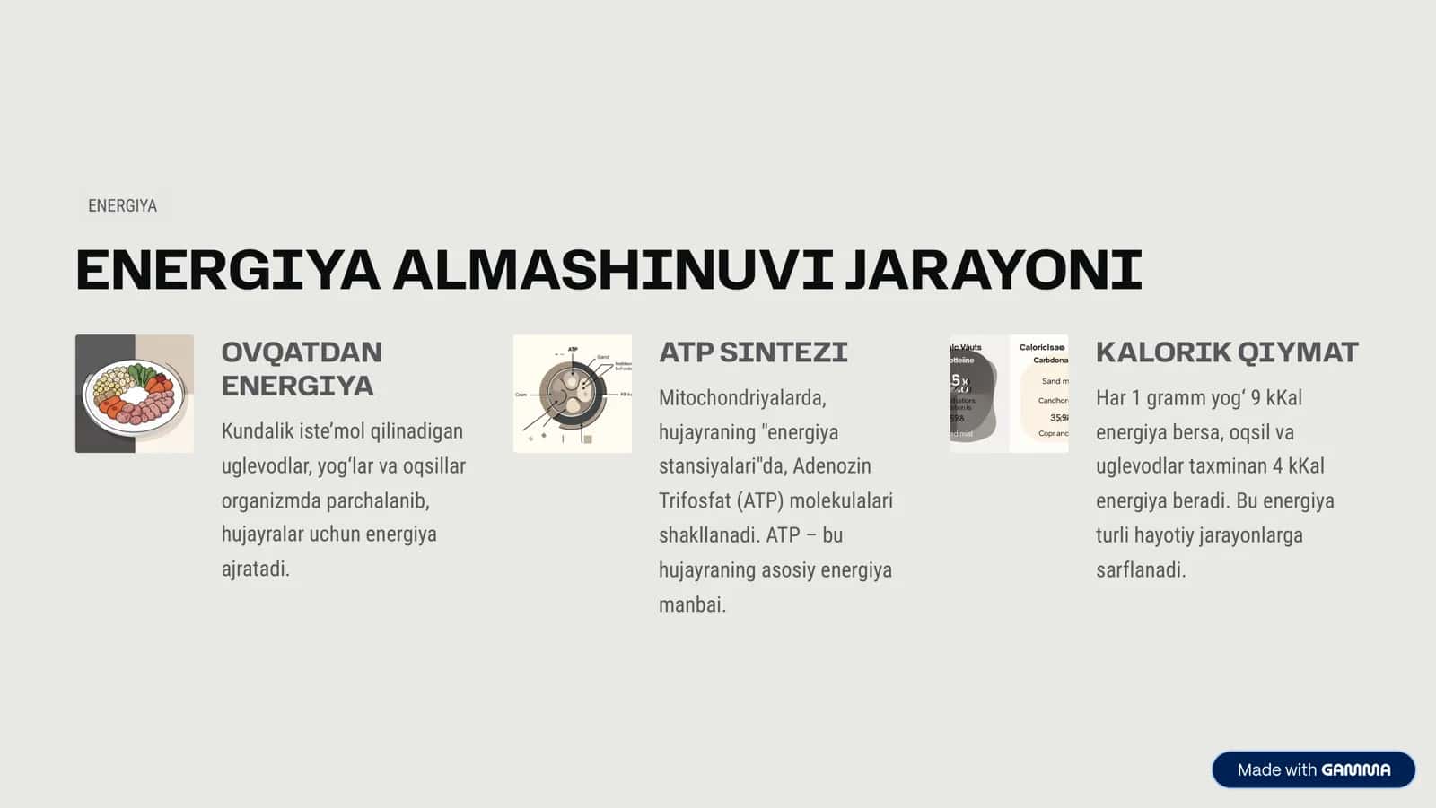 METABOLIZM VA YADRO KIMYOSI: ENERGIYA HOSIL BO‘LISHI VA TIBBIYOTDAGI O‘RNI 3