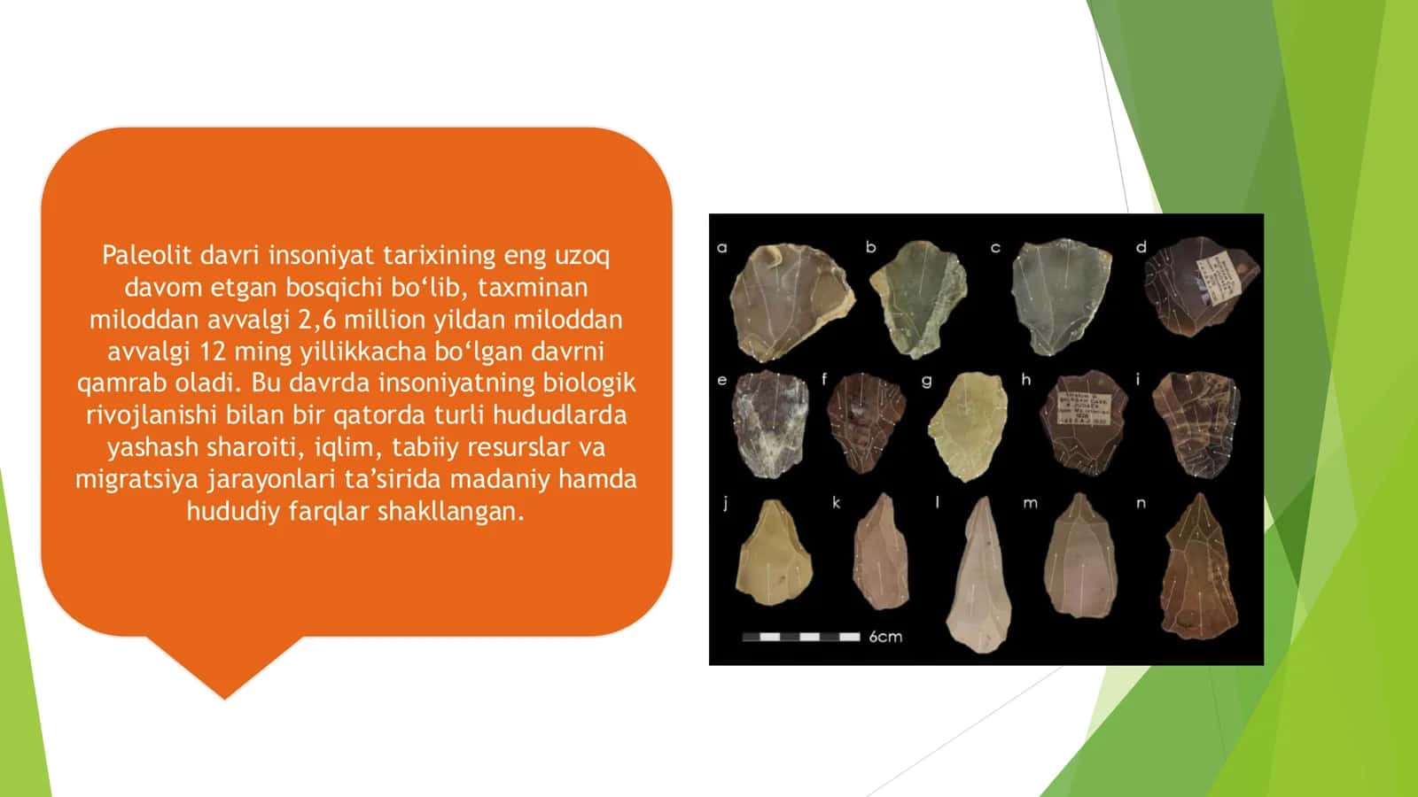 Paleolit davrida hududiy va madaniy farqlar 3
