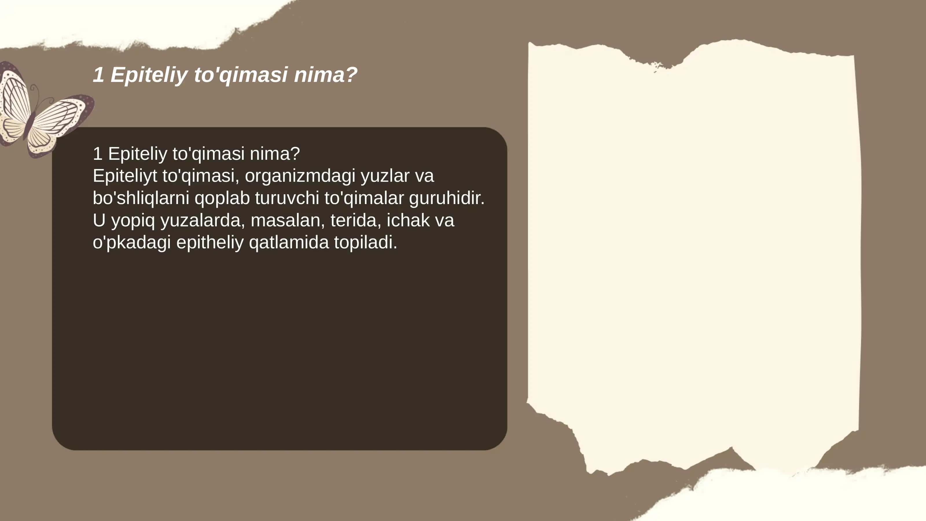 Epiteliy to'qimasi 3