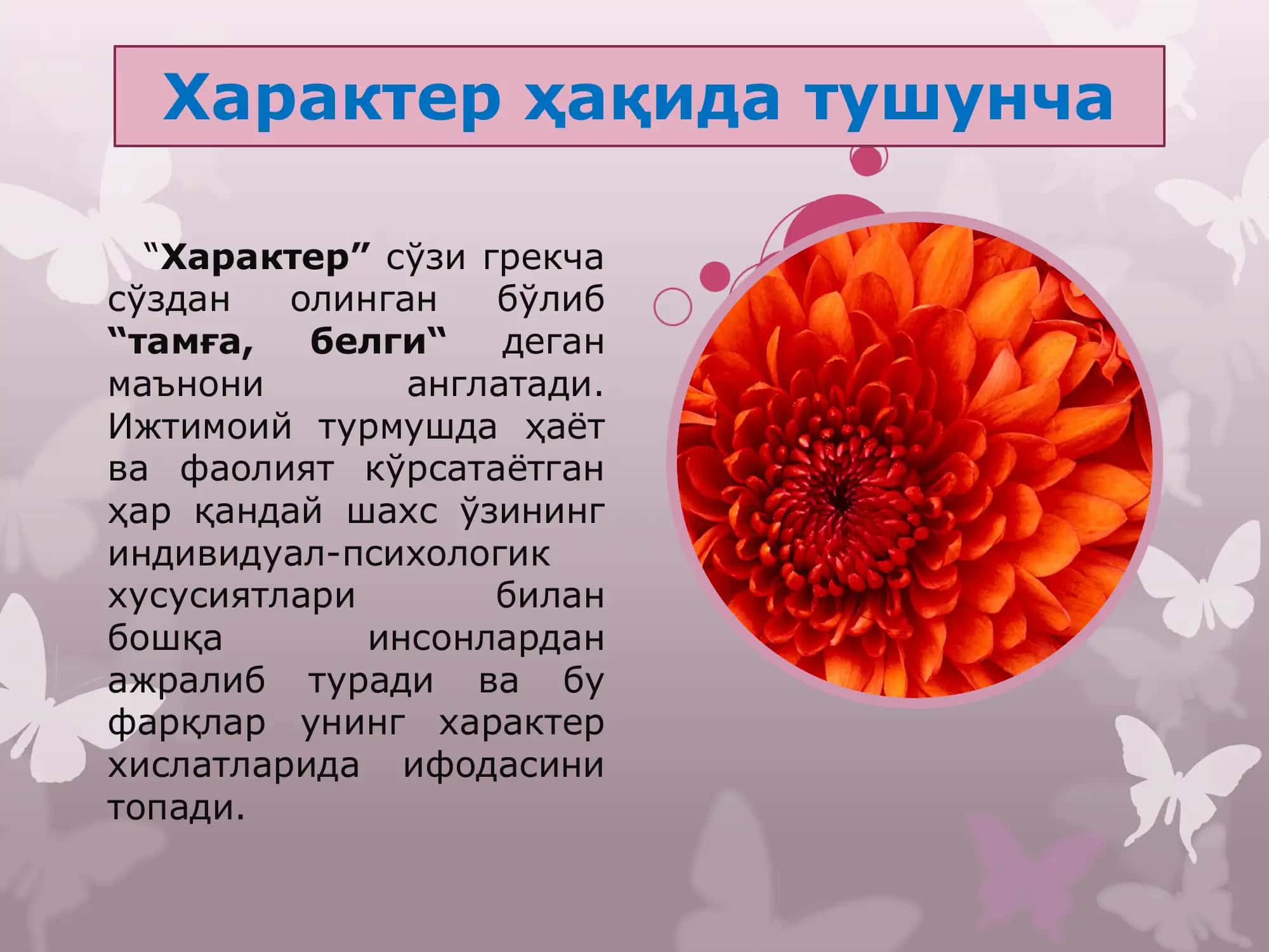 Характер 3