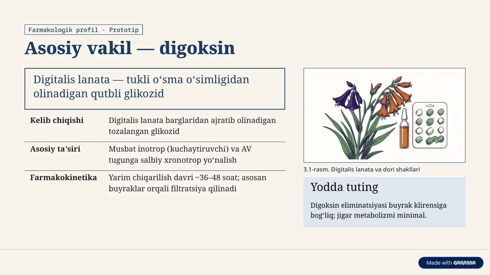 Kardiologiya kursi 3