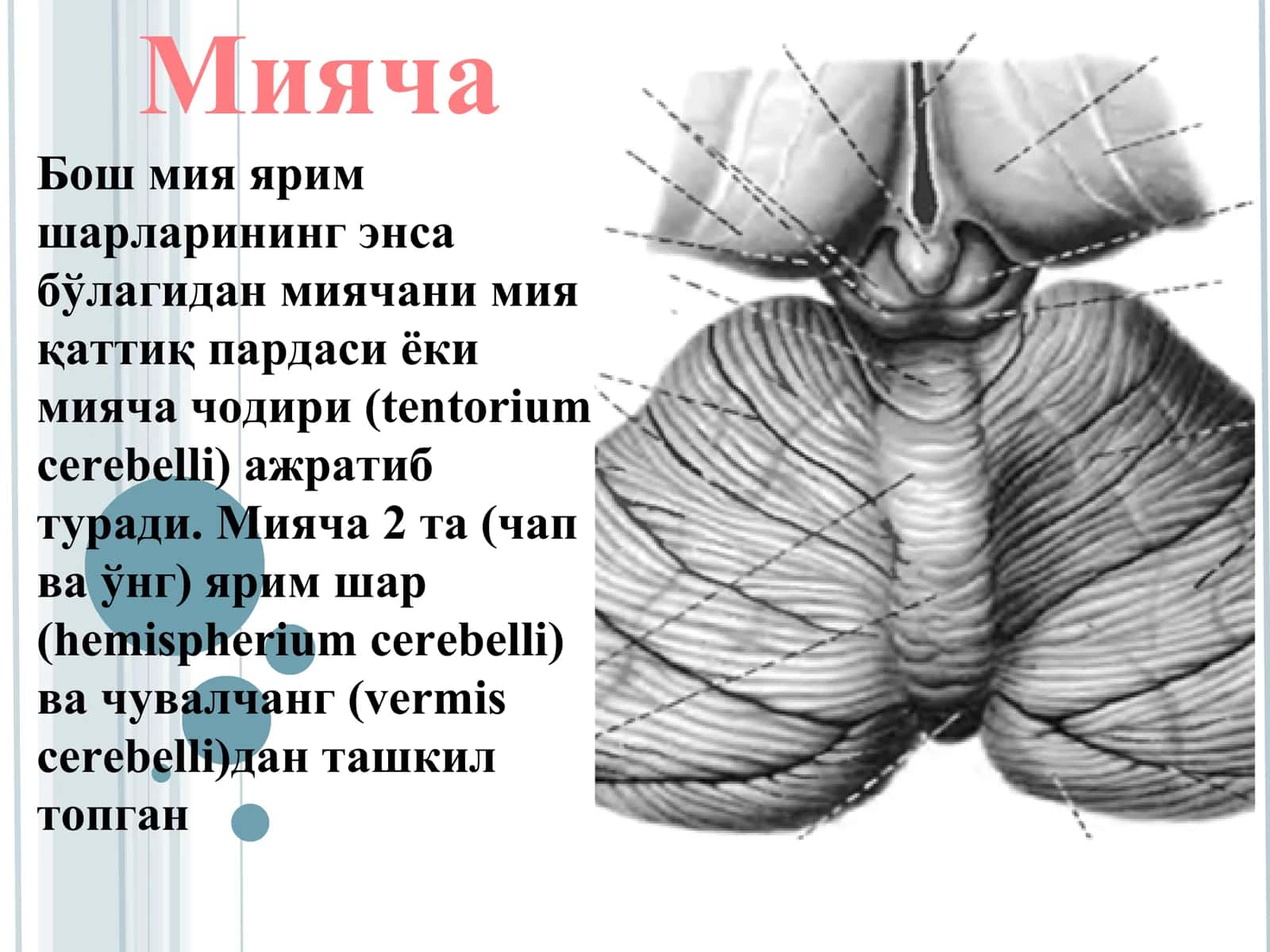 Мияча 3