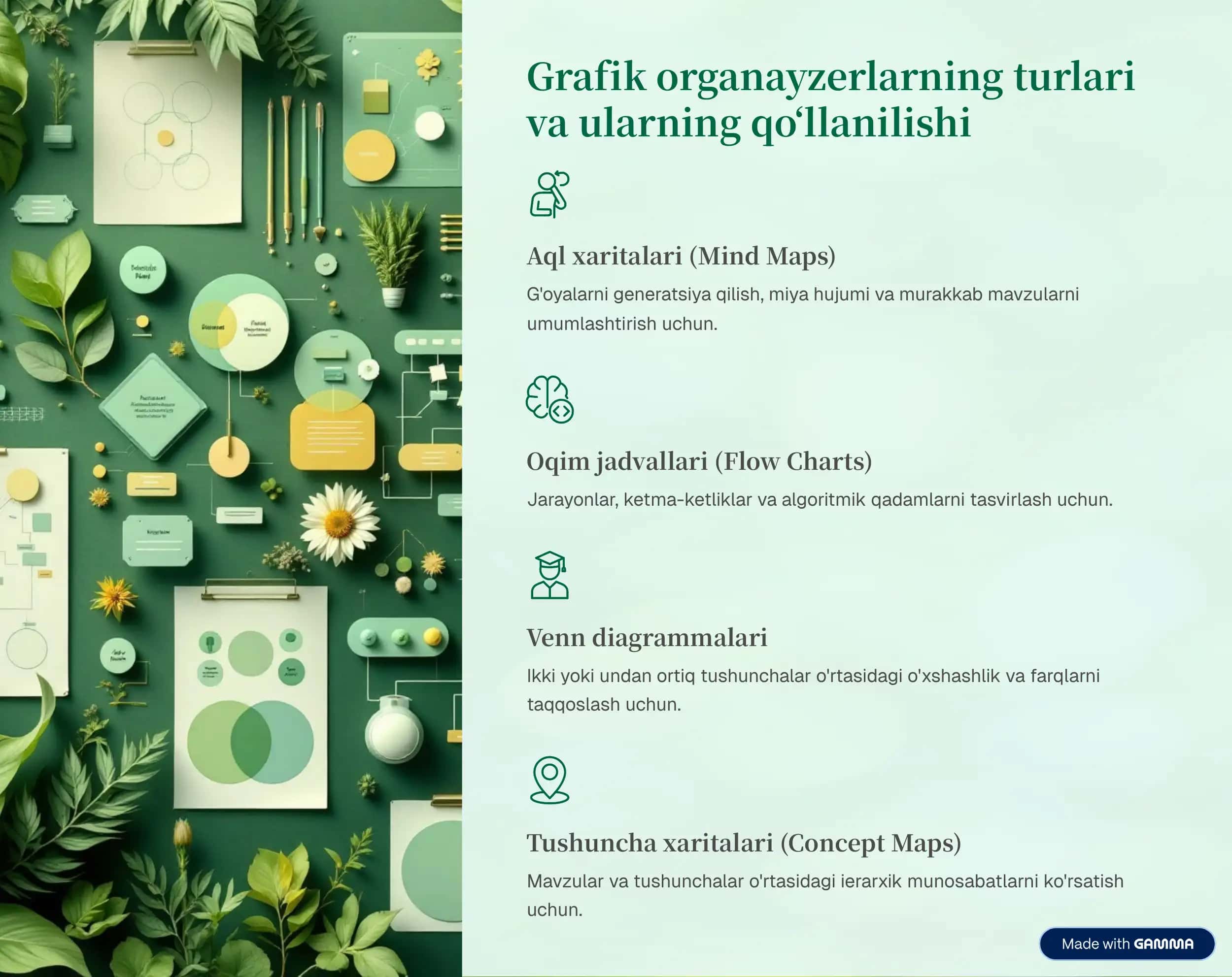 Grafik organayzerlar 3