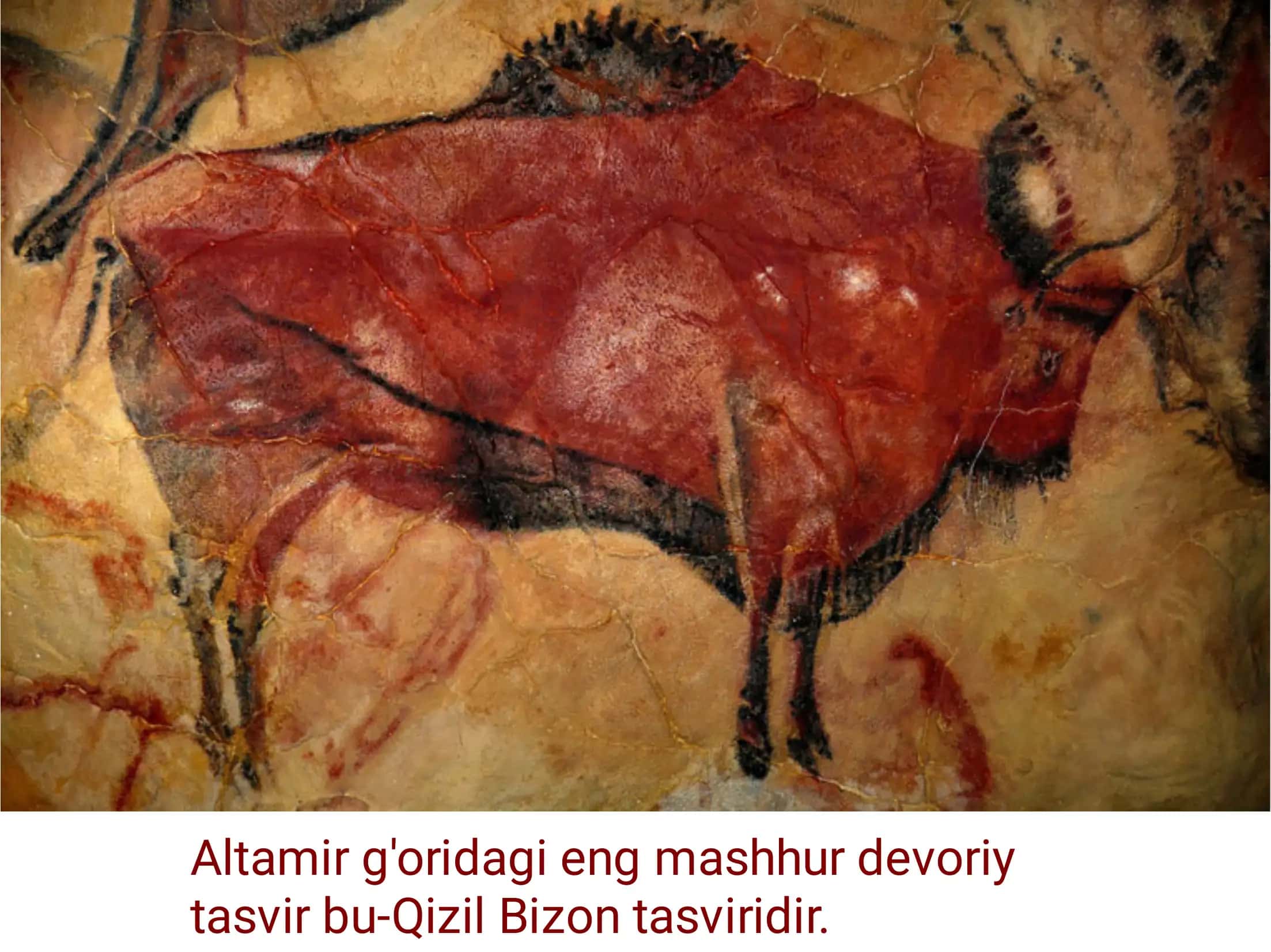 Paleolit davri 3