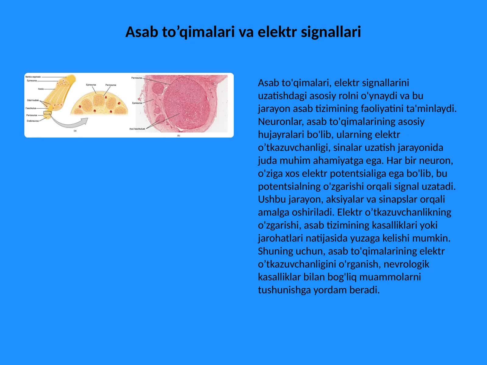 Tibbiy va biologik fizika 3
