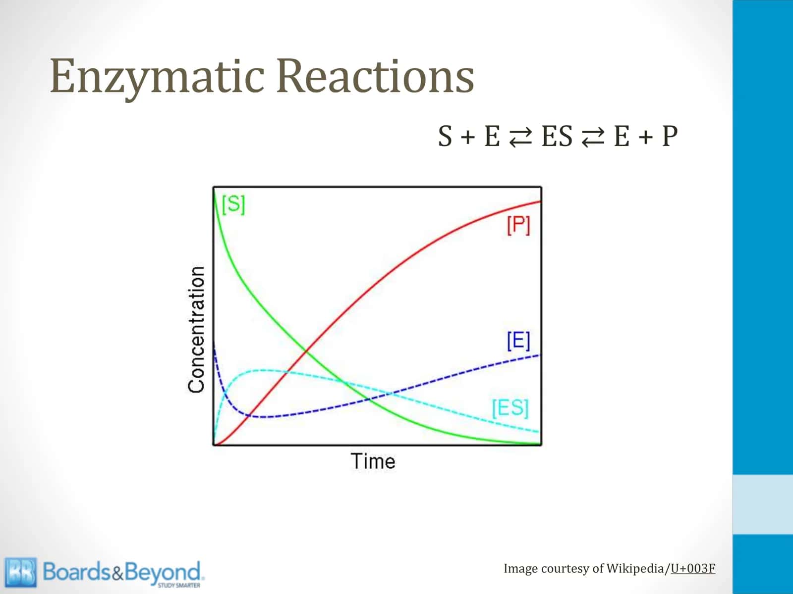 Enzymes 3