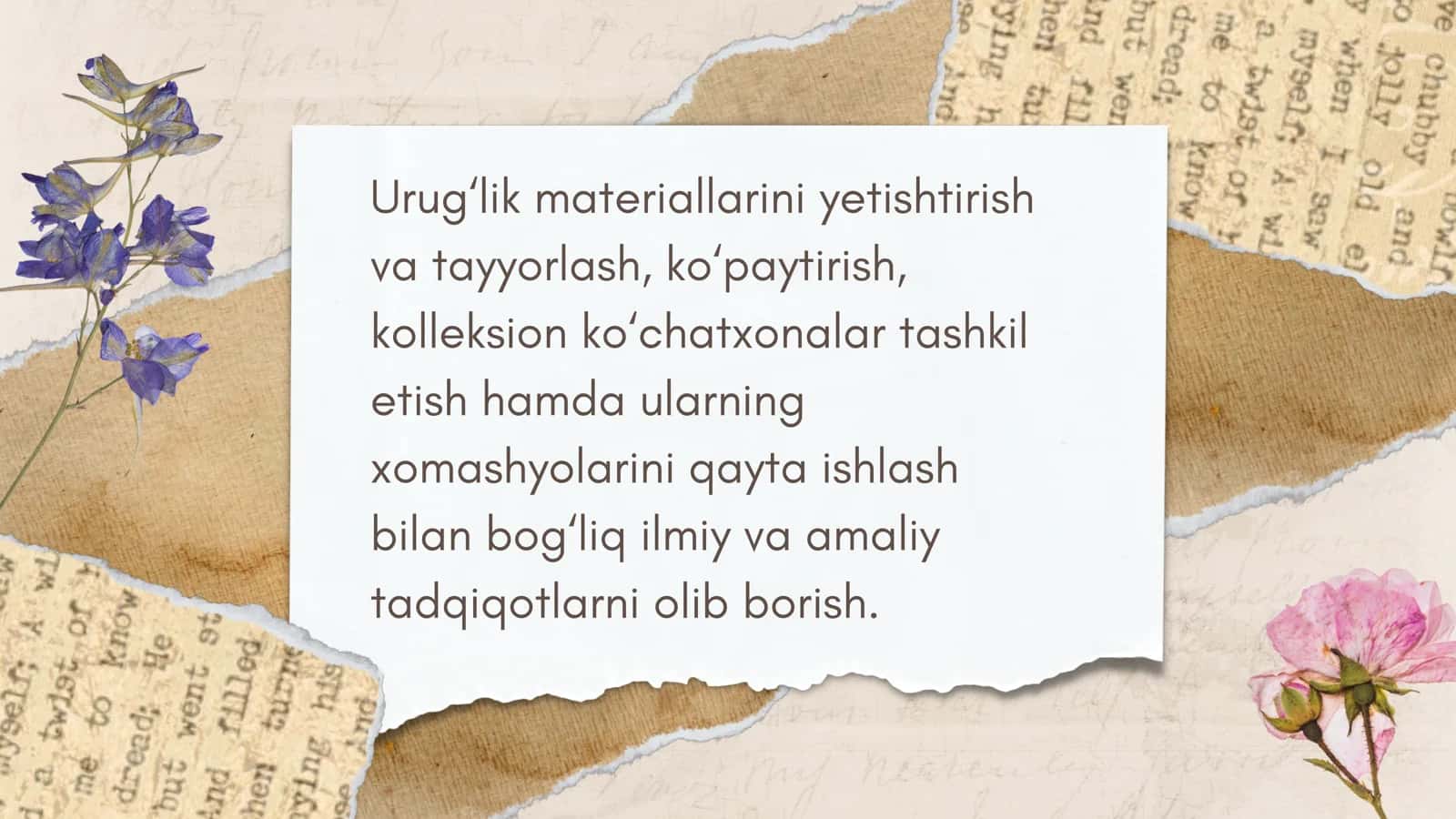 Dorivorlar va ziravorlar va dorivor va ziravorlarni qayta ishlash va saqlash 3