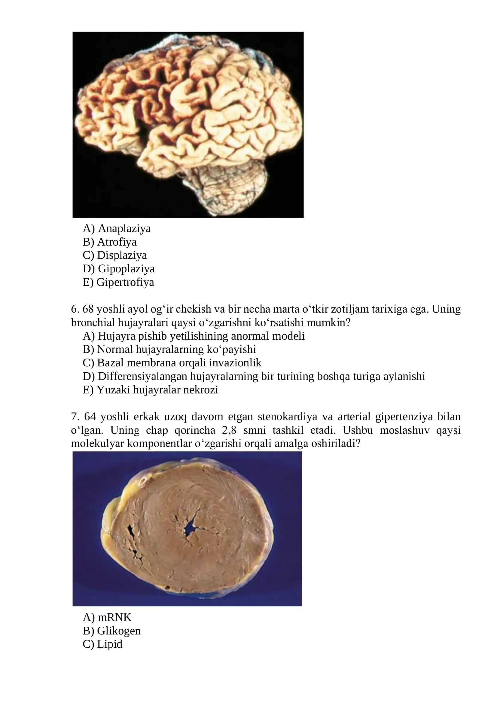 Rubins pathology Testlar 3