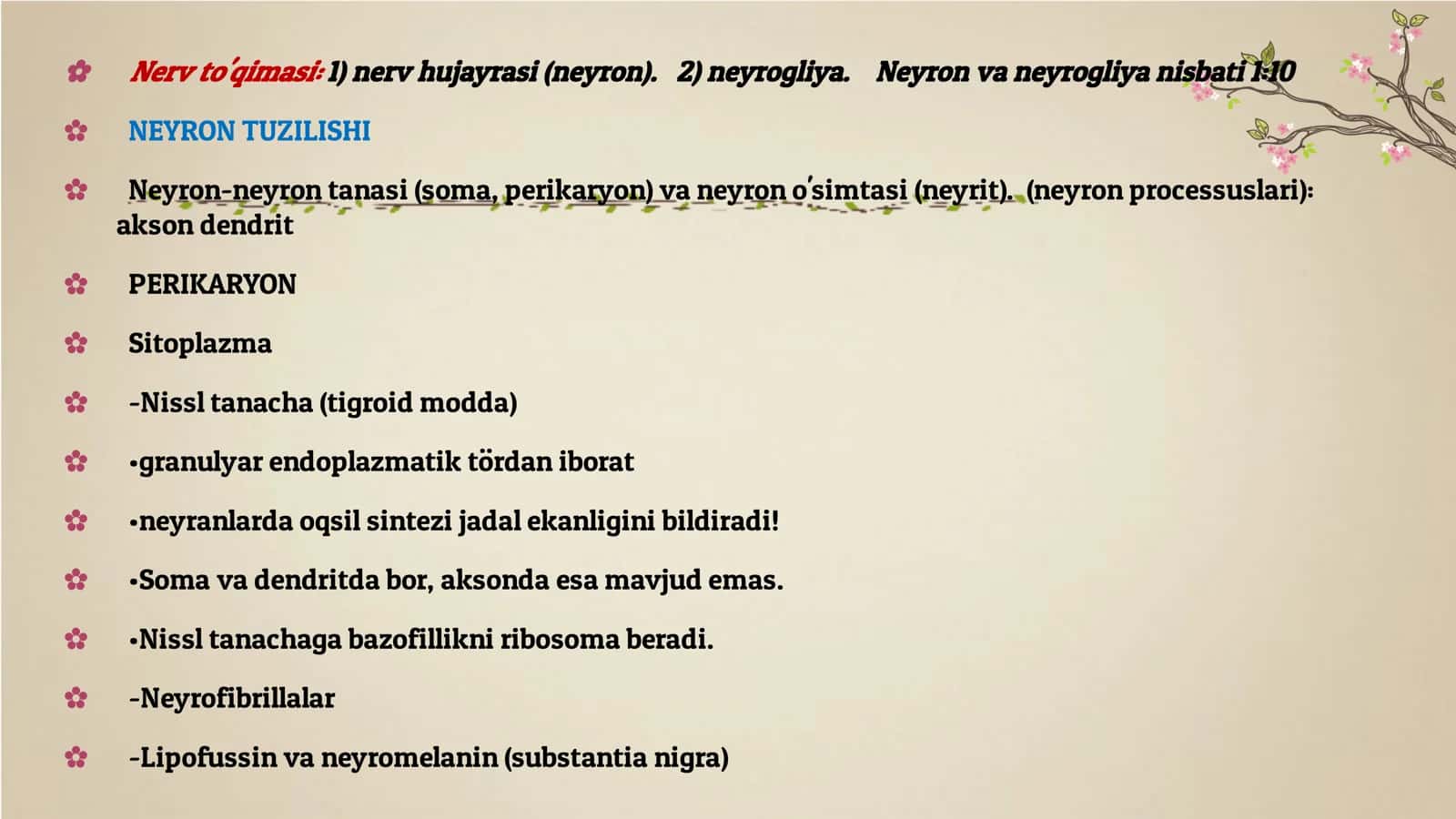 Nerv to'qimasi, neyron, nerv oxirlari. Neyrogliya 3
