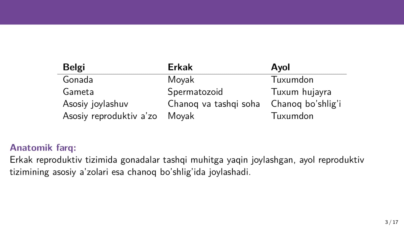 Jinsiy tizim anatomiyasi 3