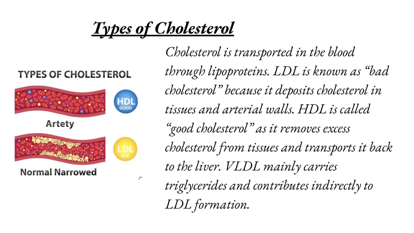 Hypercholesterolemia and Atherosclerosis 3
