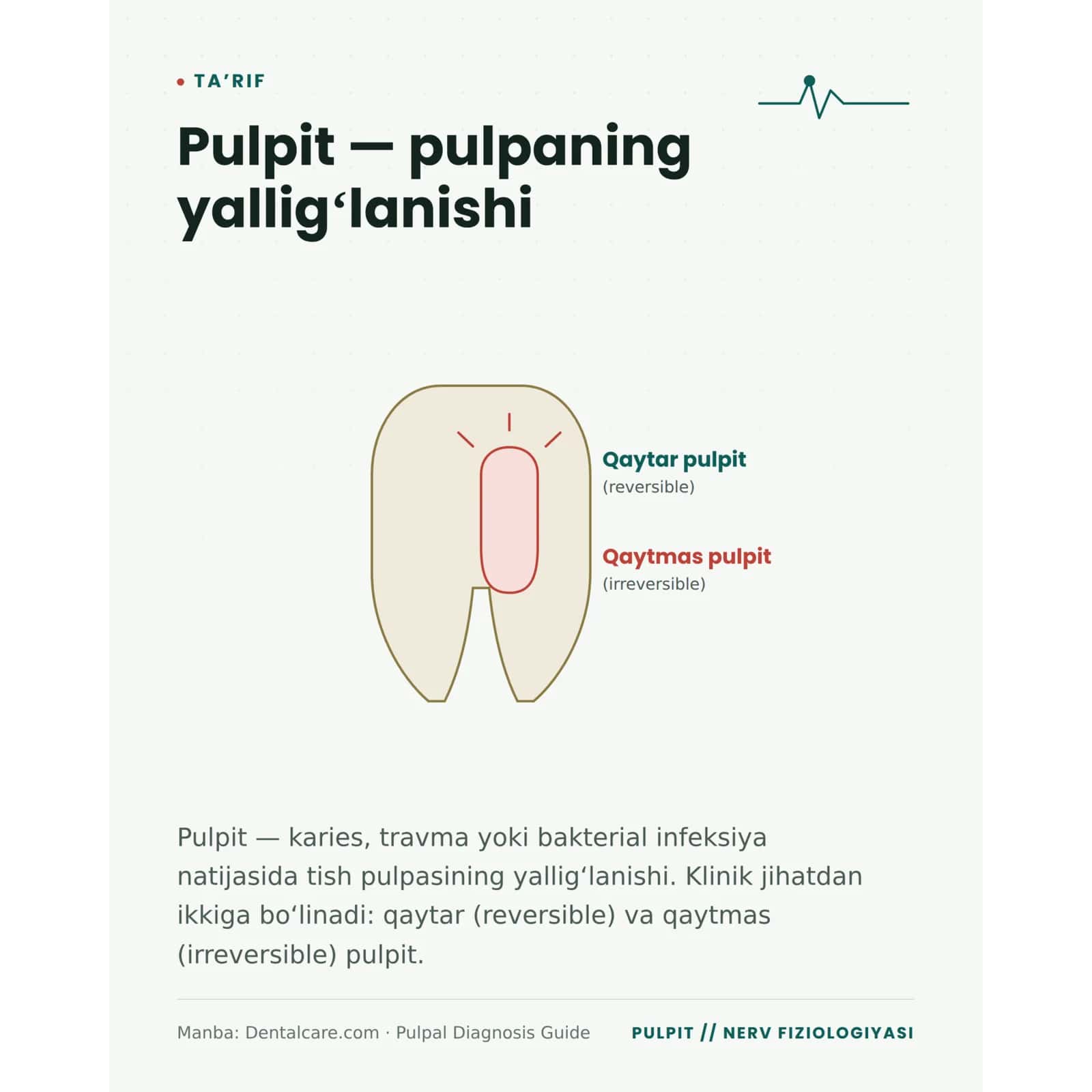 Pulpit nima va uning rivojlanishi, patalogiyasi. 3