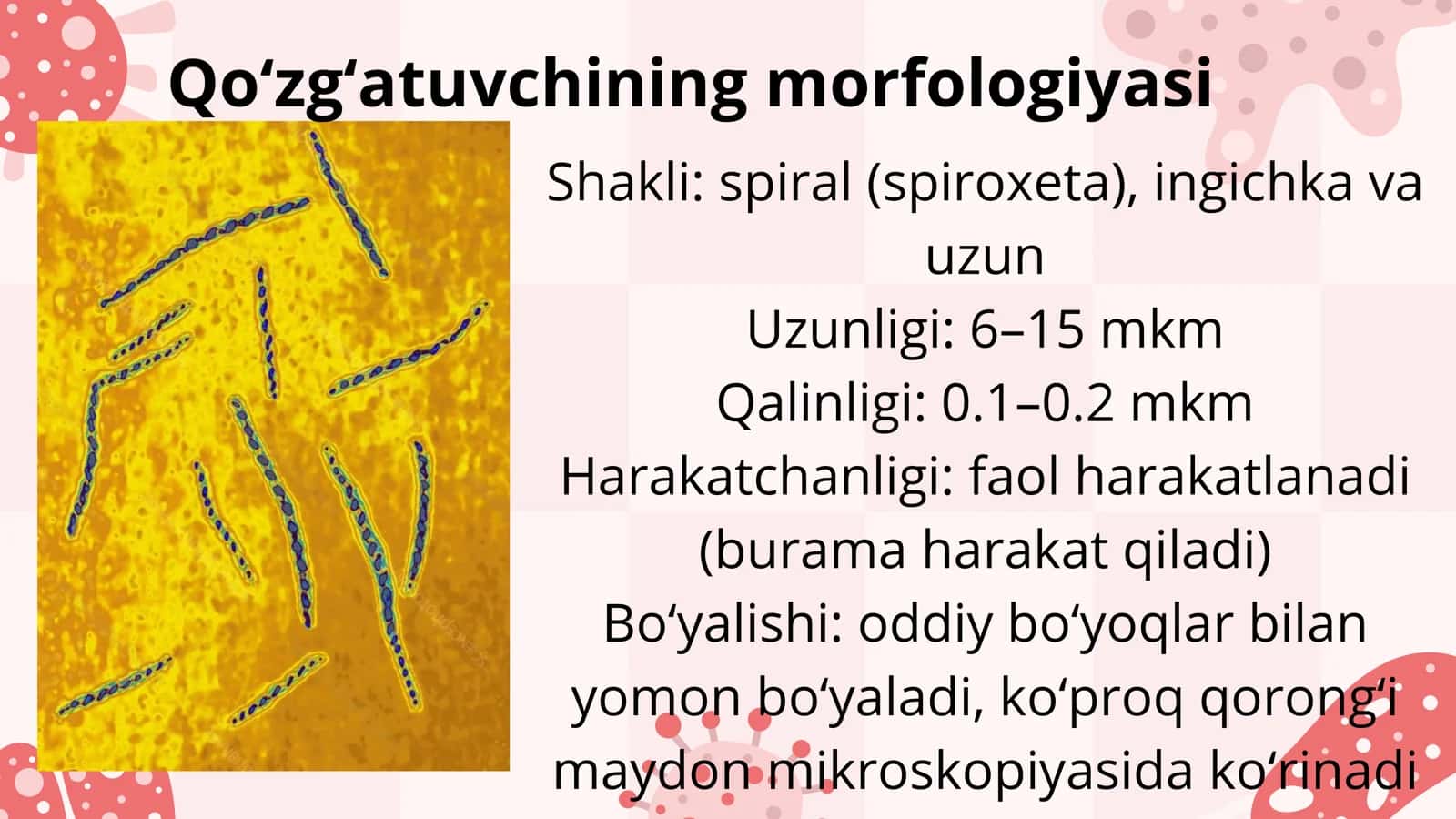 Zaxm kasalligi 3