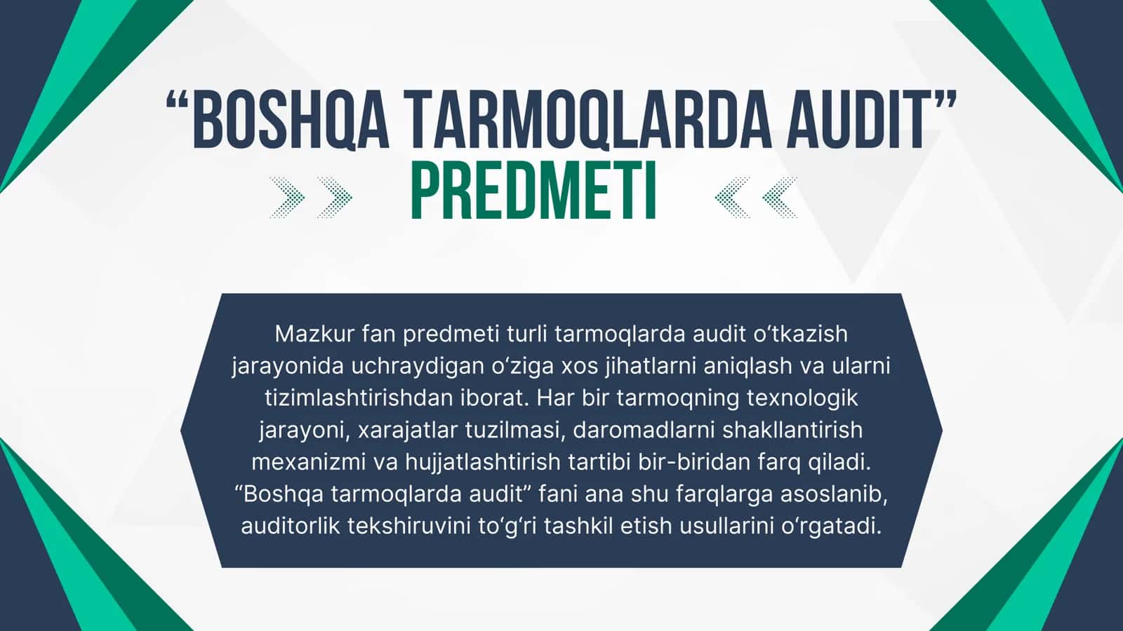 Boshqa tarmoqlarda audit 3
