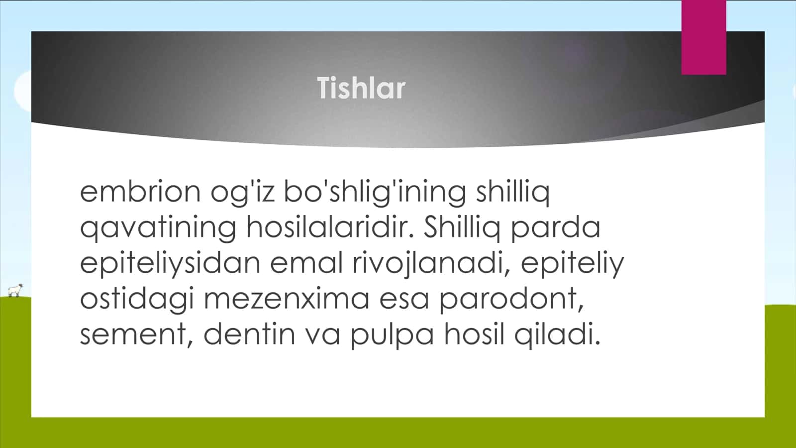 Tish haqida maʼlumot va Tishning Anatomik va Gistalogik tuzilishi 3