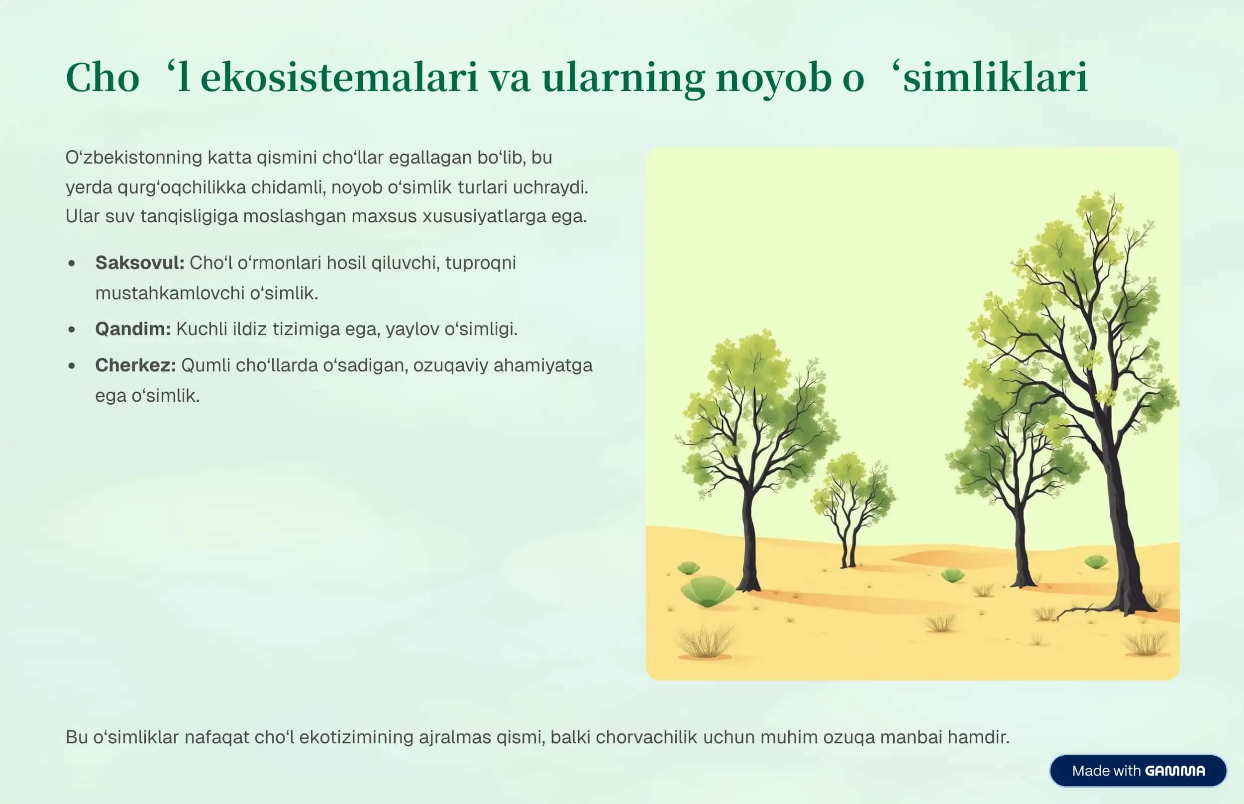 O'zbekistonning o'simlik qoplami 3