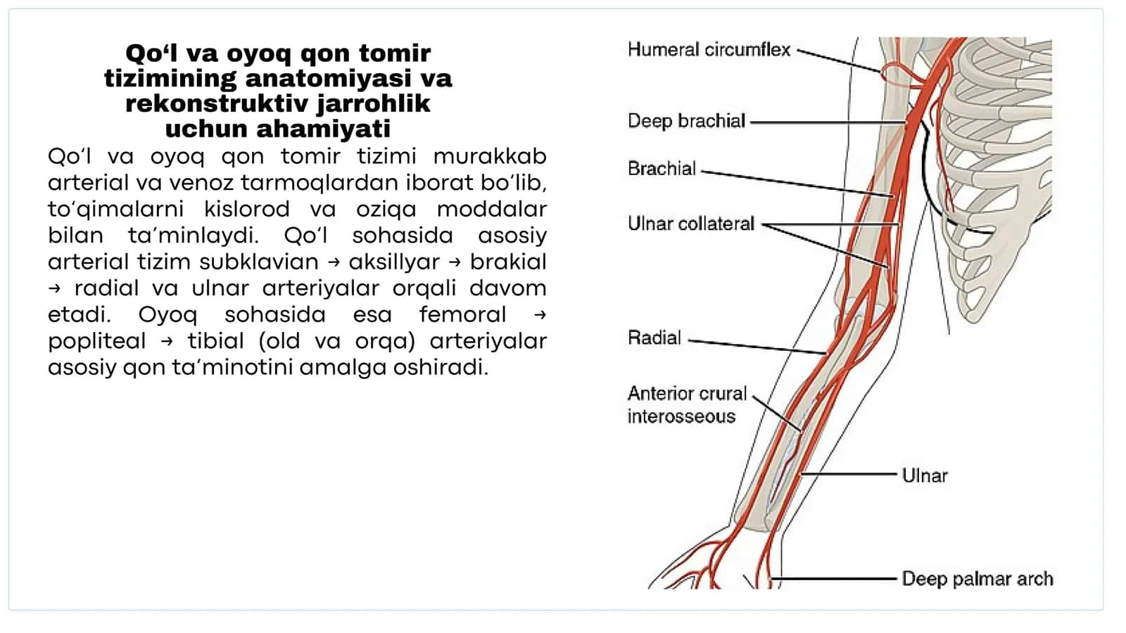 Zamonaviy rekonstruktiv operatsiyalar turlari 3