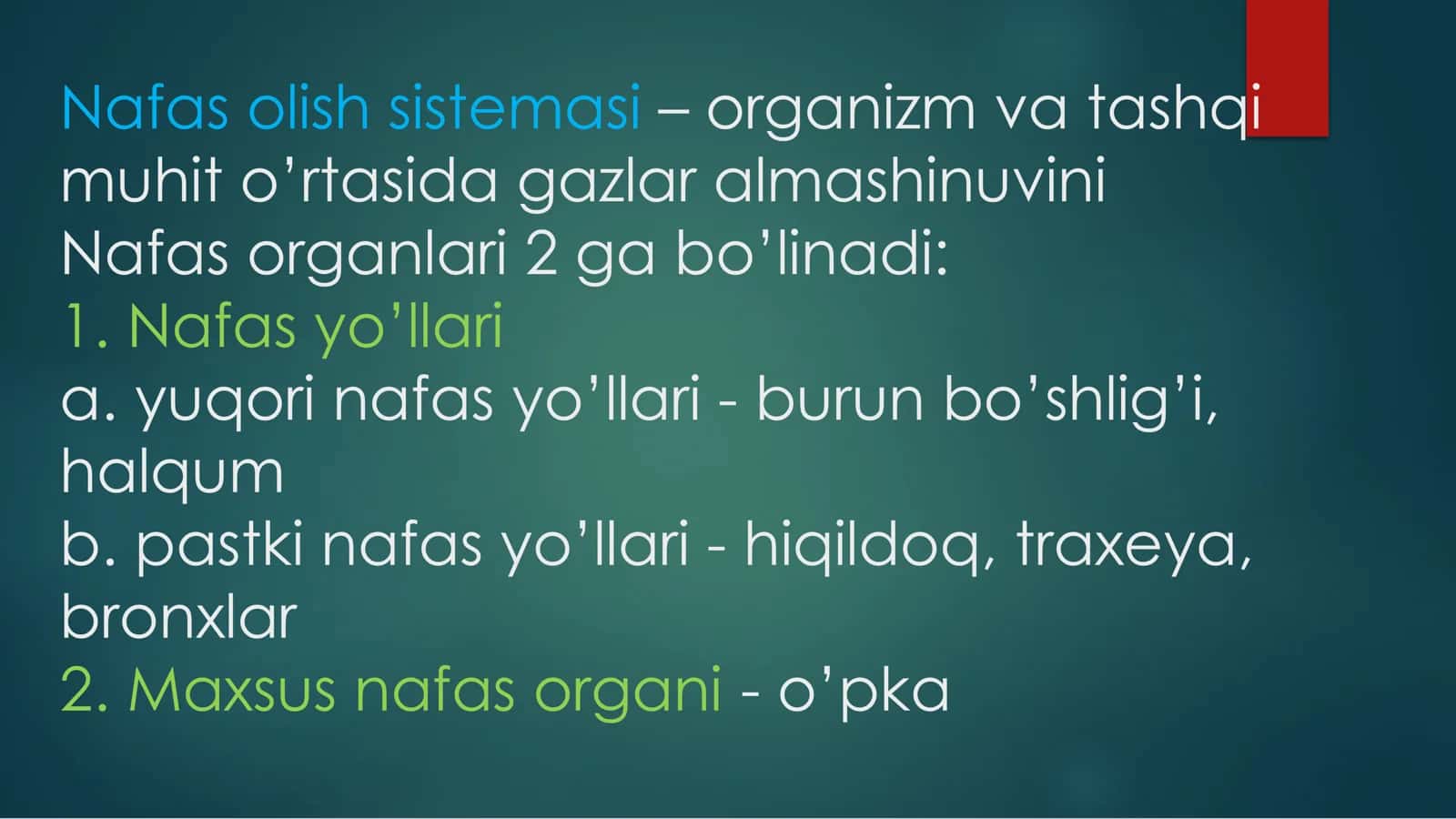 Nafas olish jarayoni 3