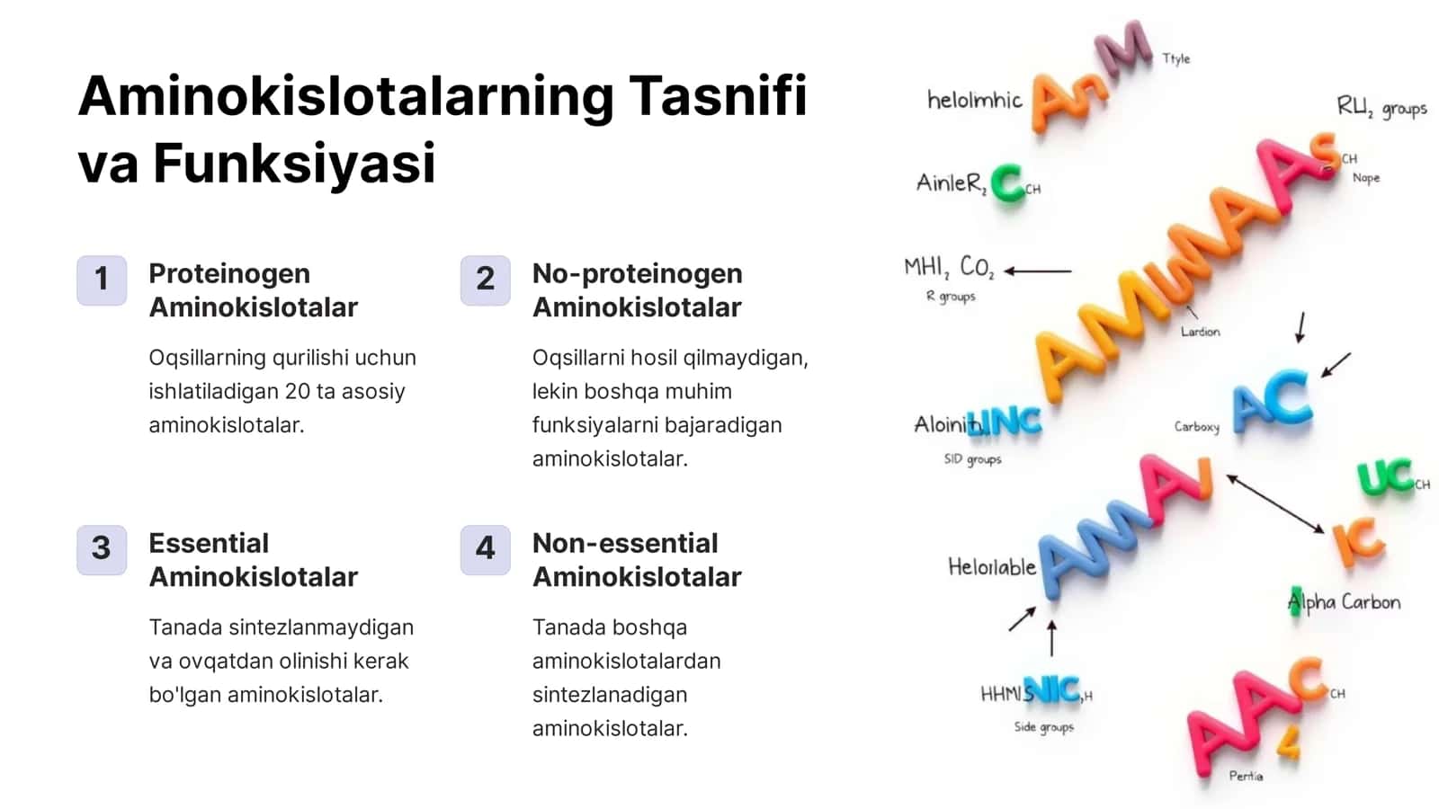 Aminokislotalar: Kofermentlar, Garmonlar va Vitaminlarning Tarkibiy Qismi 3